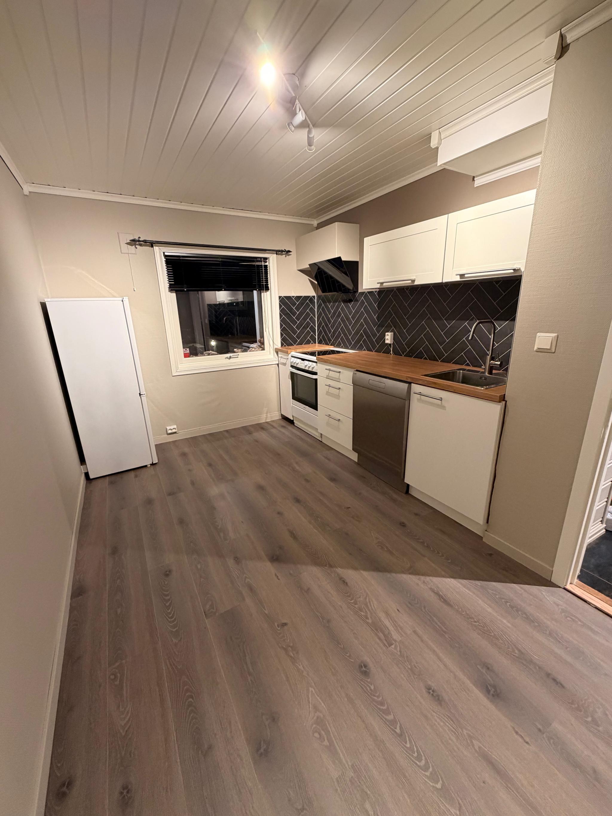 Kjøkken med komfyr, kjøleskap og oppvaskmaskin