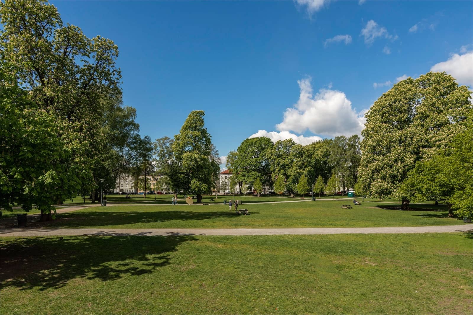 Sofienberg parken er en grønn og livlig møteplass. Ett perfekt sted for piknik, nyte solfylte dager og fredelige turer.