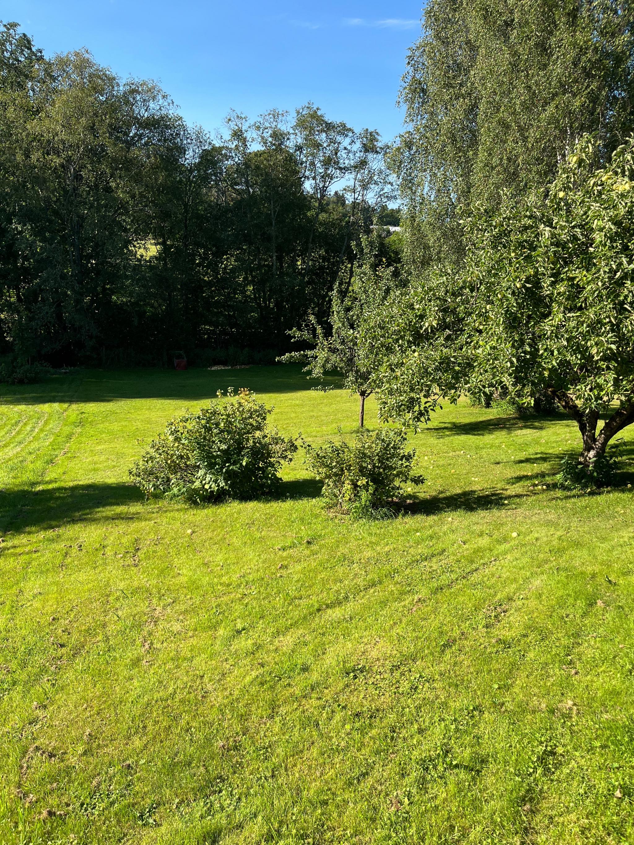 Stor hage med mulighet for dyrking av blomster og grønnsaker 