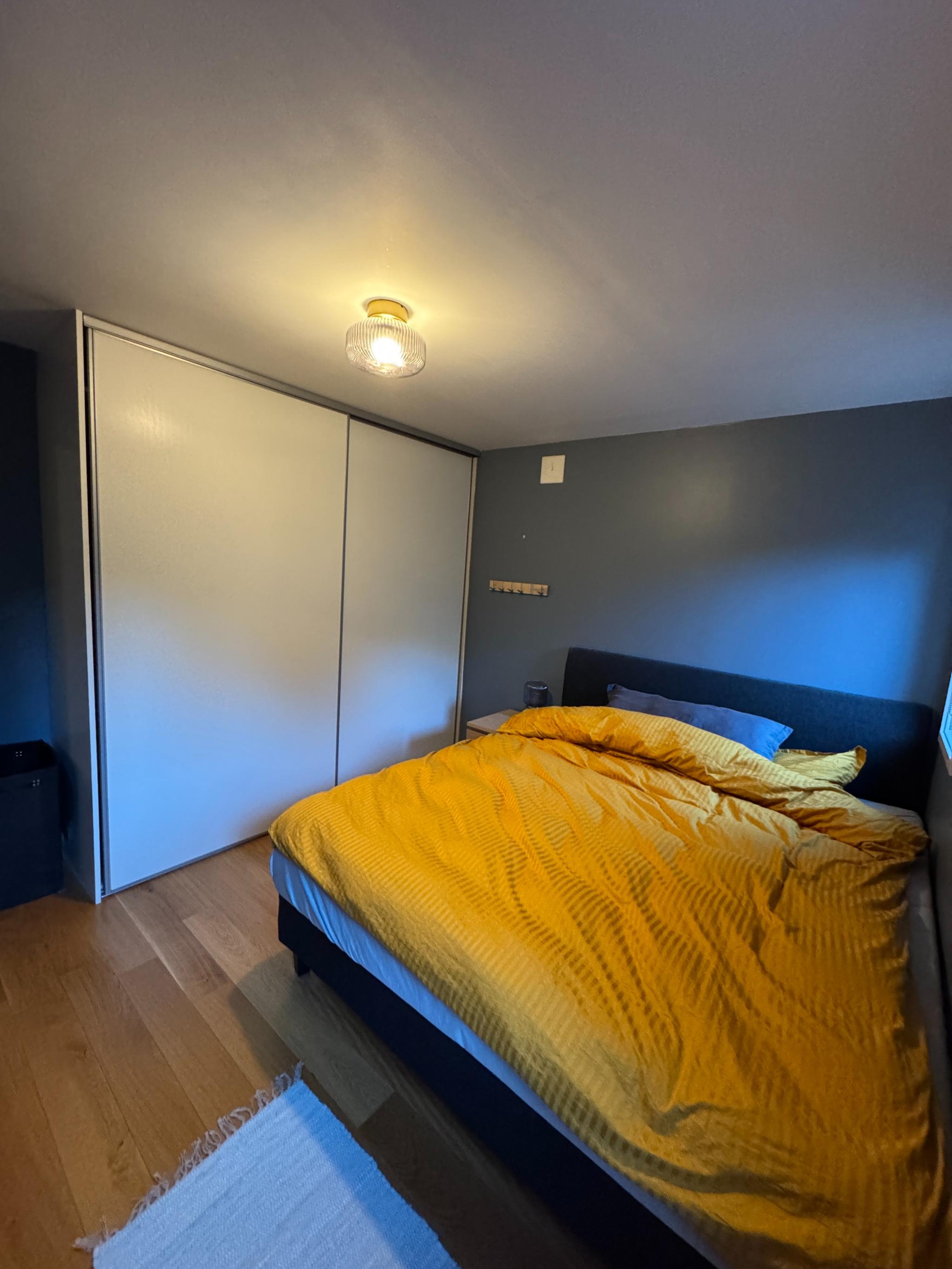 Hovedsoverom med stort klesskap 