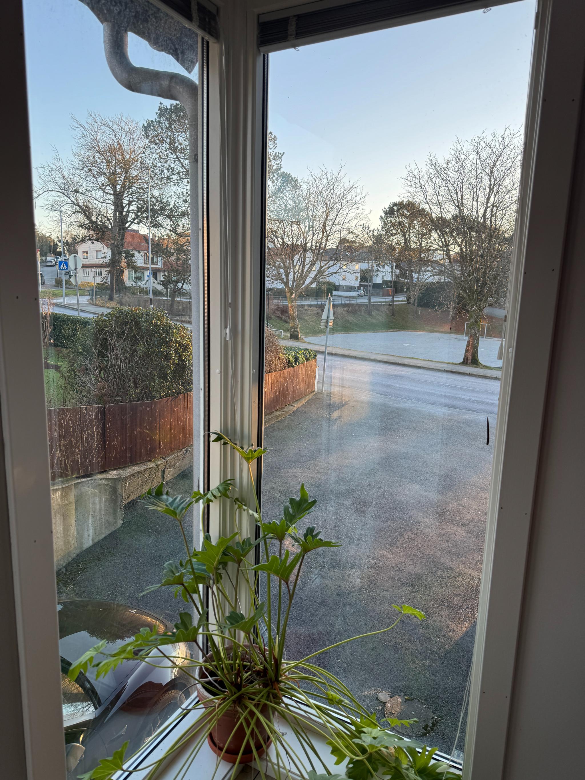 Utsikt fra spisestuen