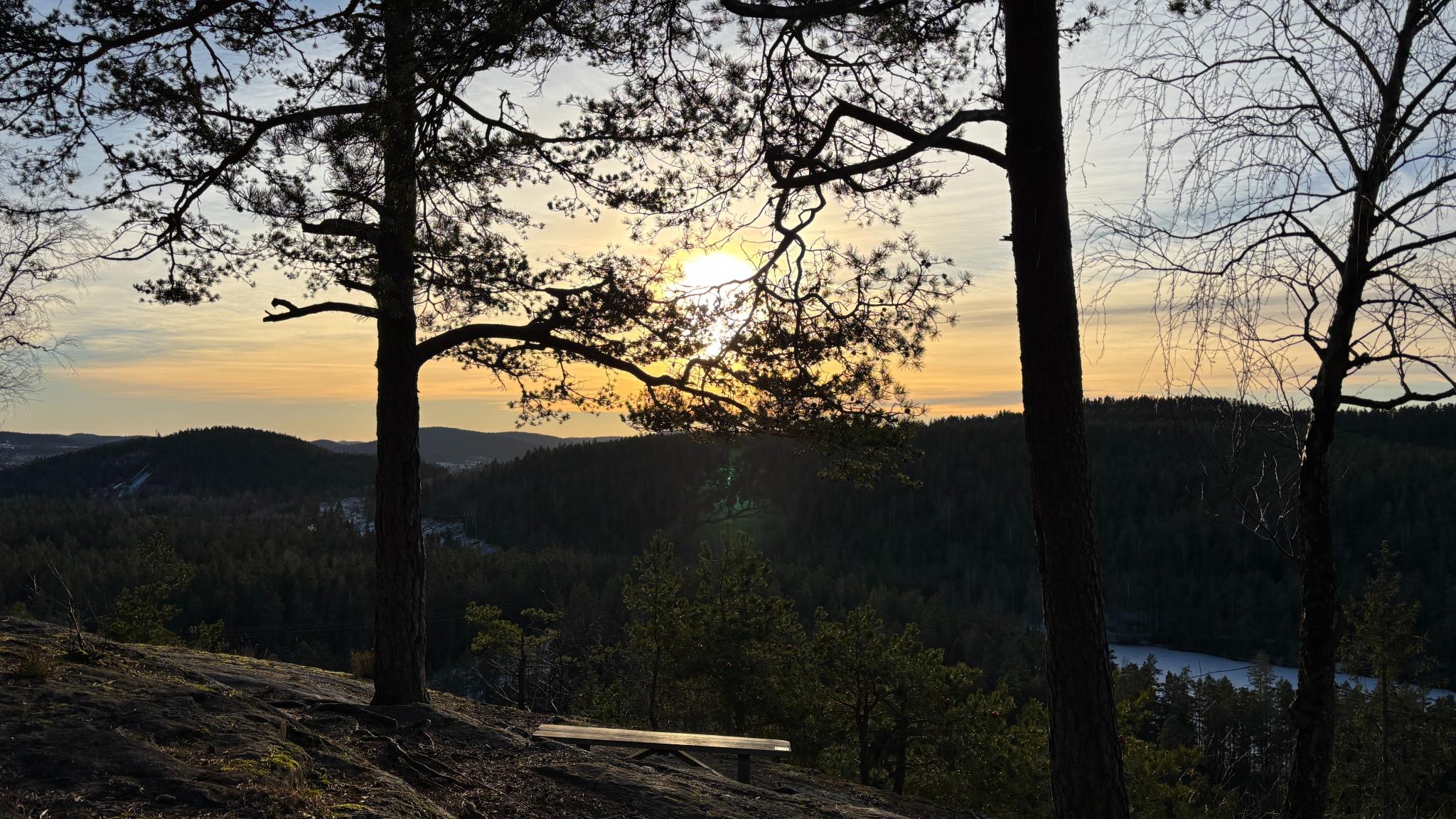 På Tinnskollen - under 30 minutters gange fra boligen