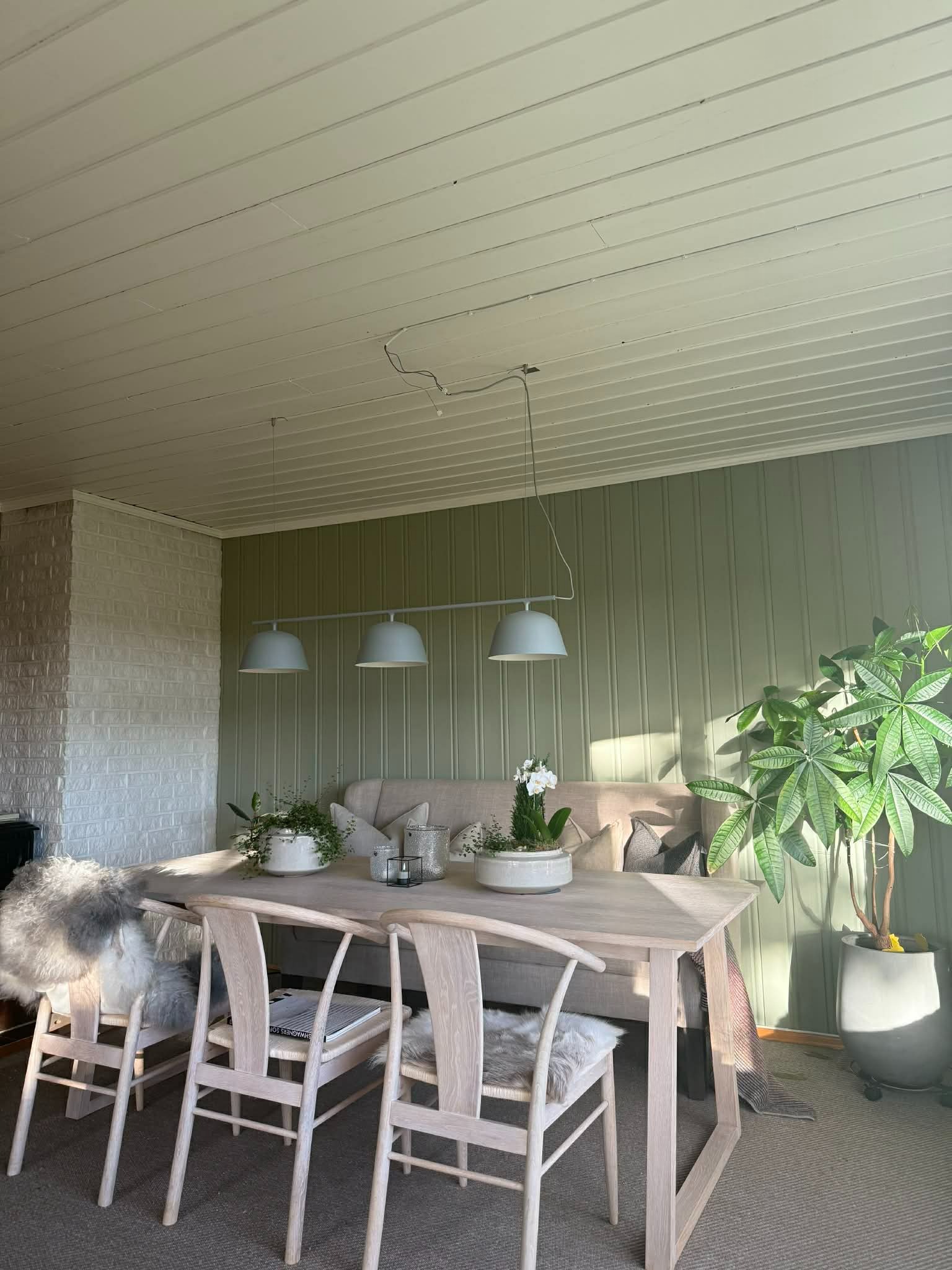 Spisesture. Møbler medfølger 