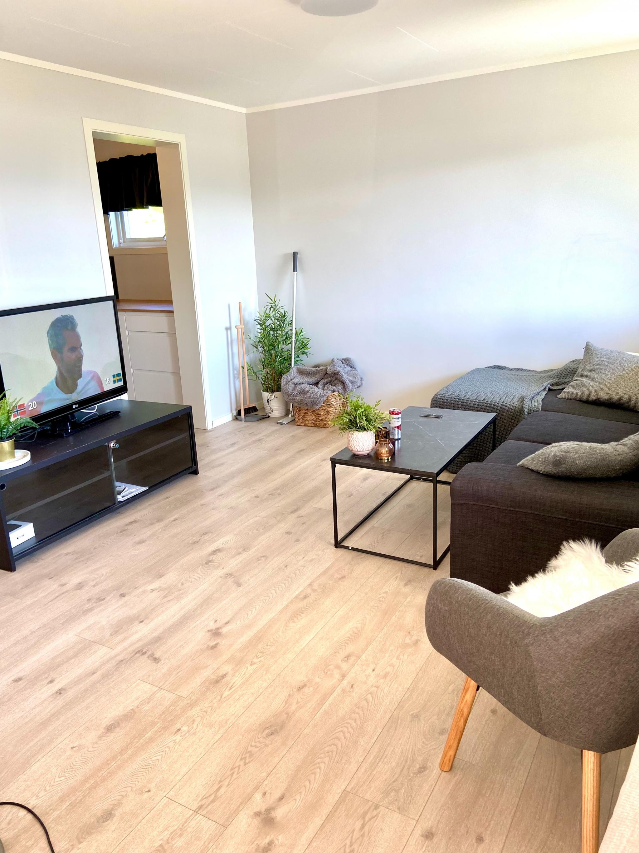 Stue med sofa, bord og tv-benk.