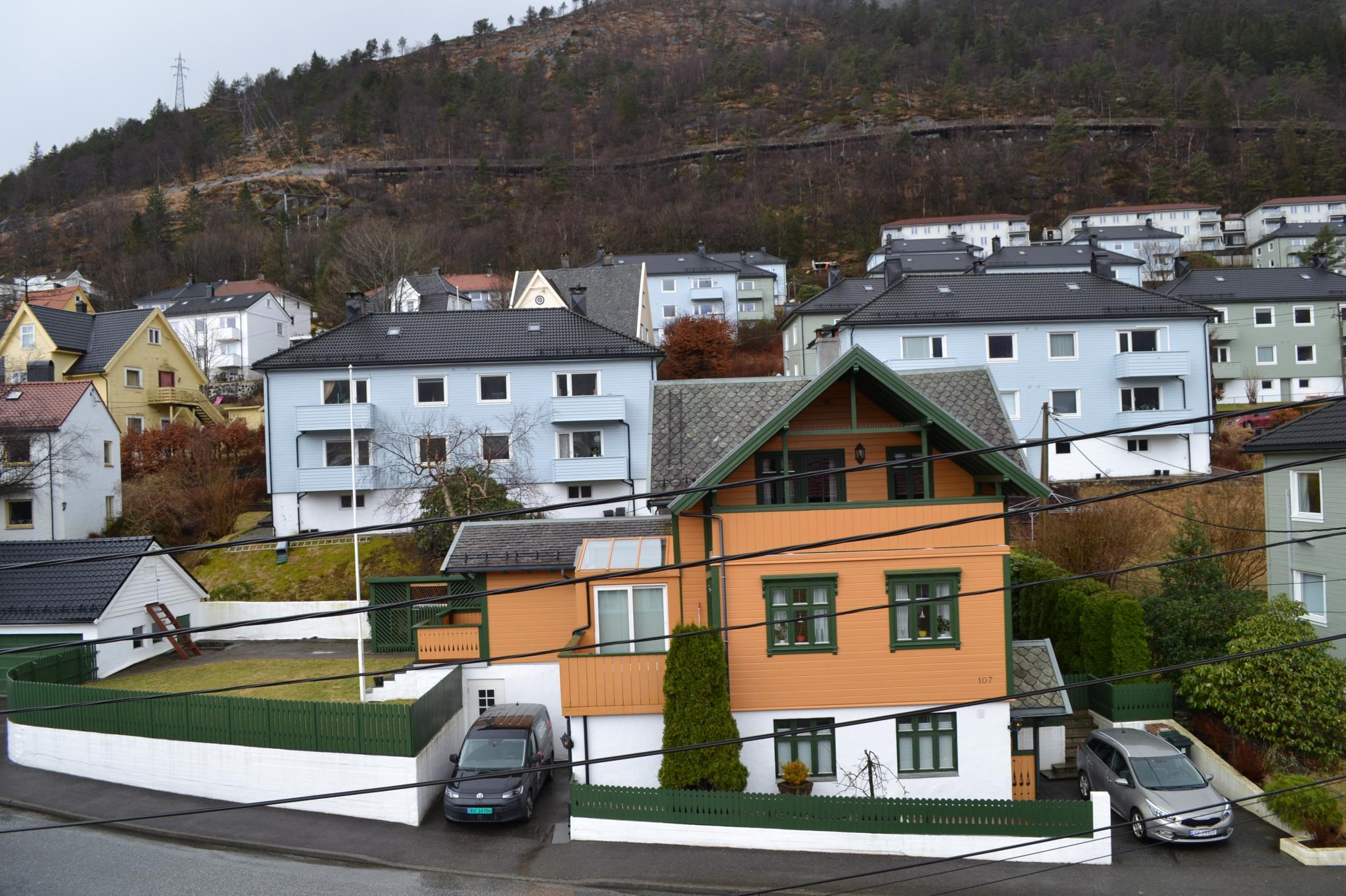 Utsikt fra kjøkken. 