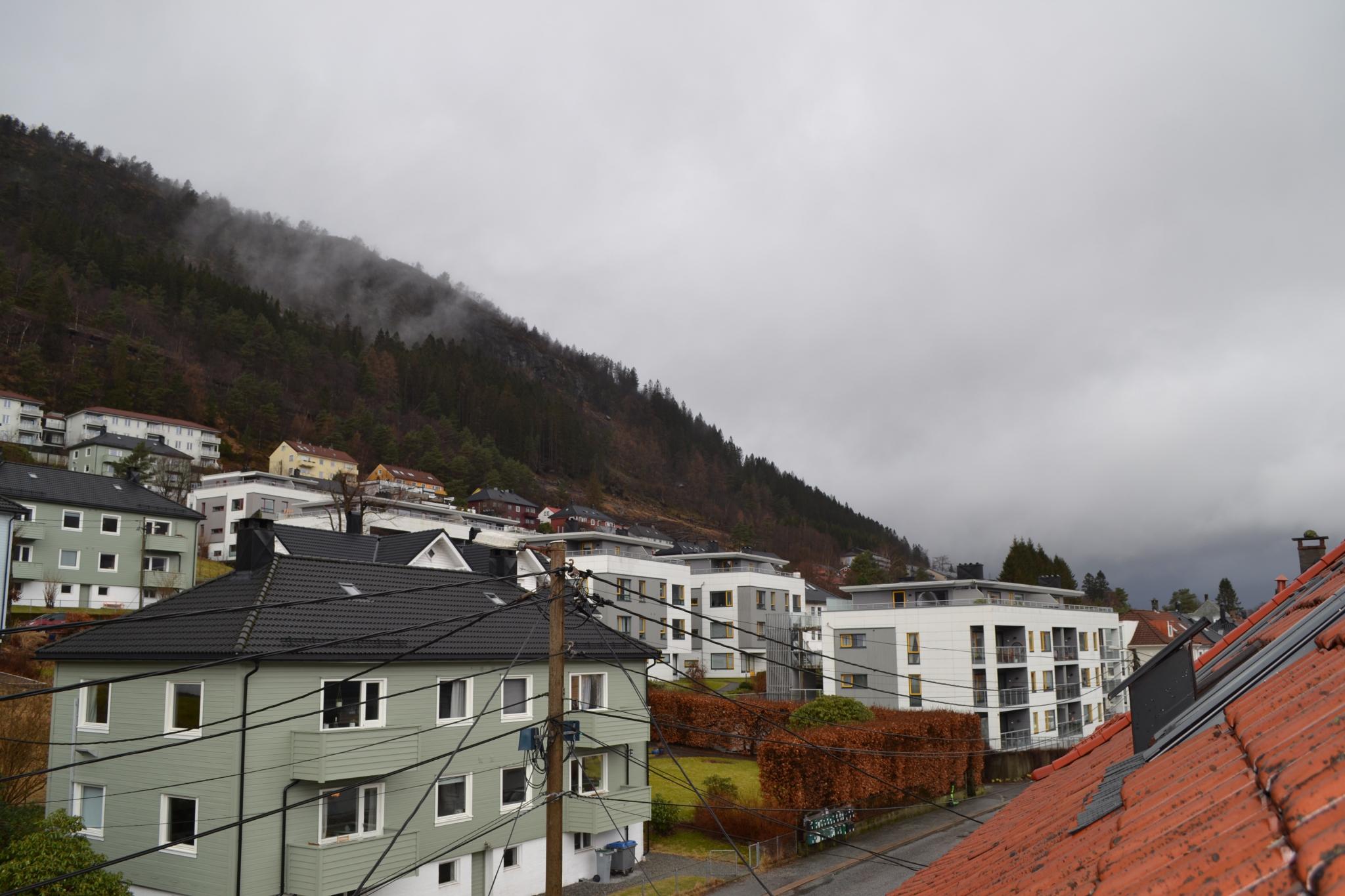 Utsikt fra kjøkken.