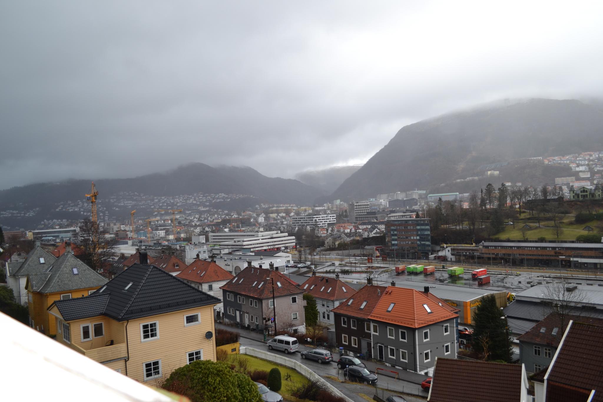 Utsikt fra entre/stue. 