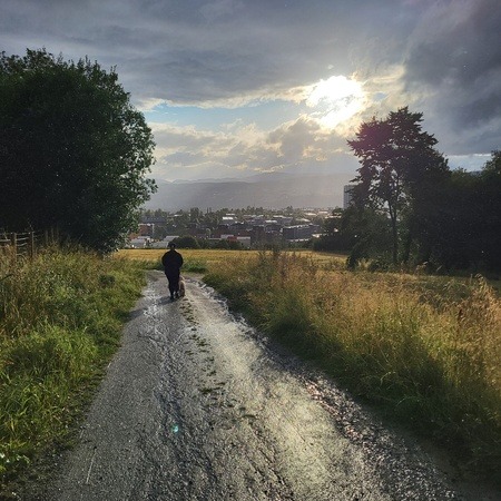 Nærområdet 