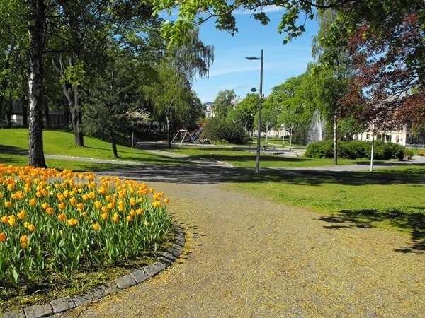 Byens beste park i nærområdet