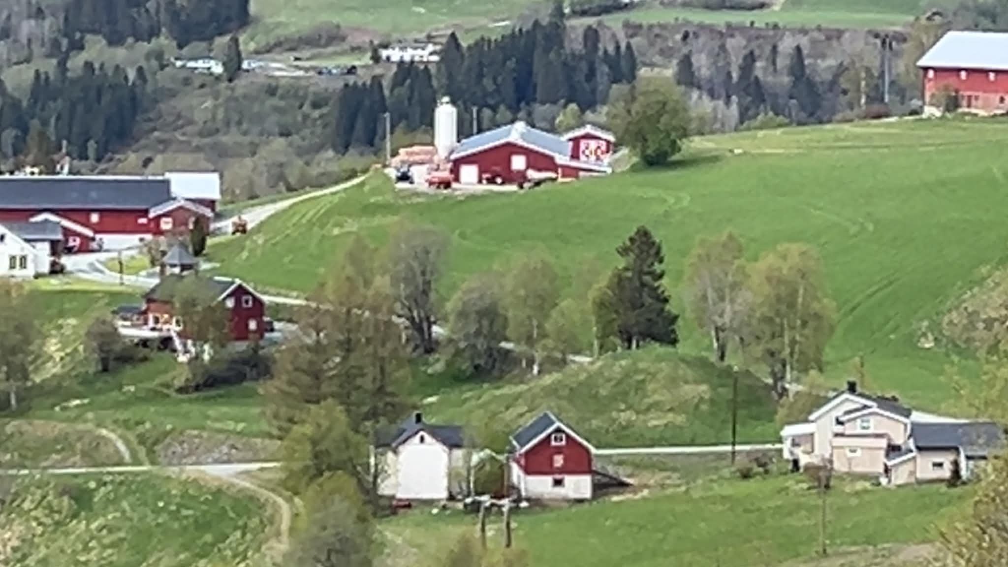 Oversiktsbilde av eiendommen