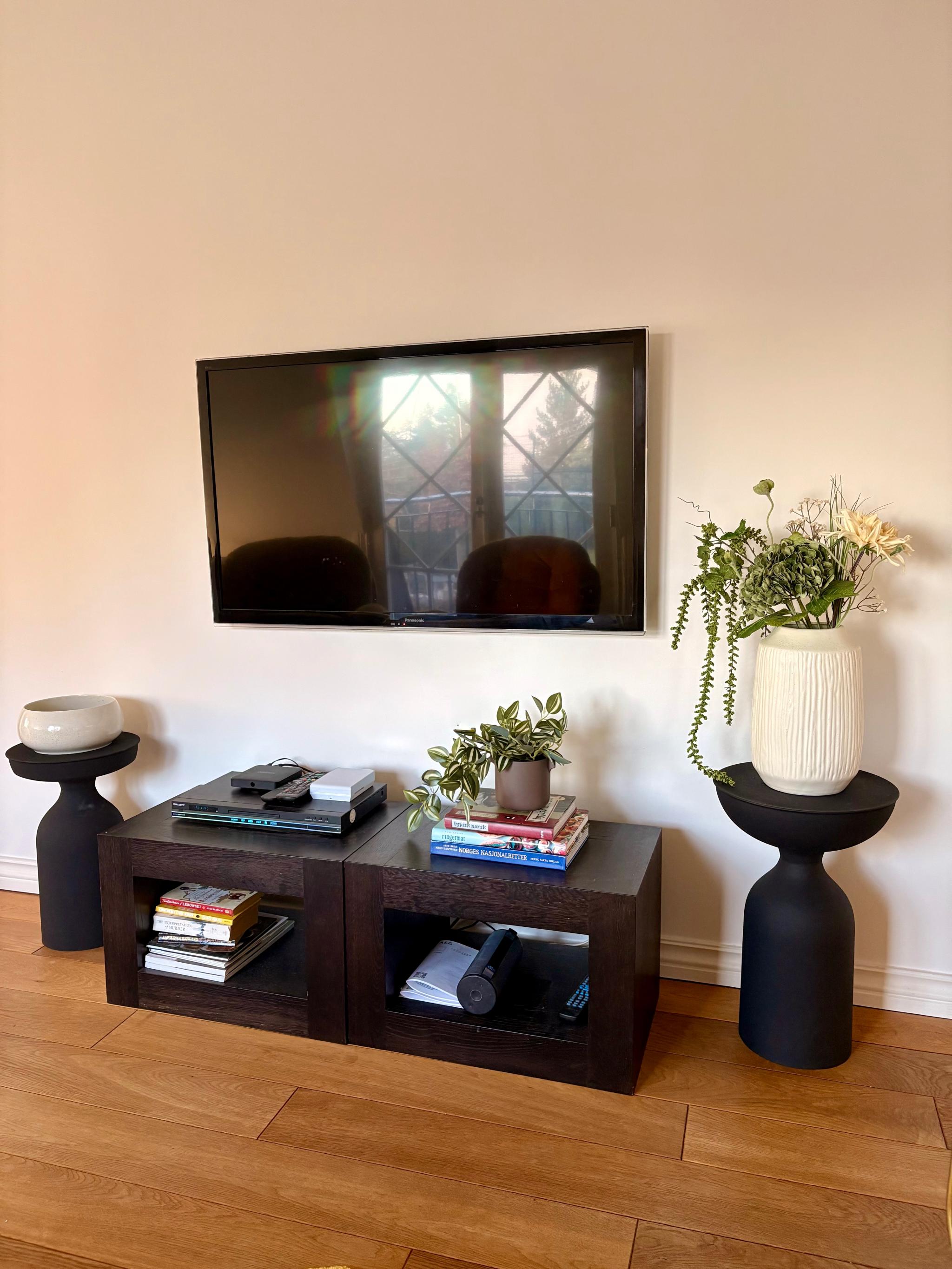 TV montert på svingbart oppheng