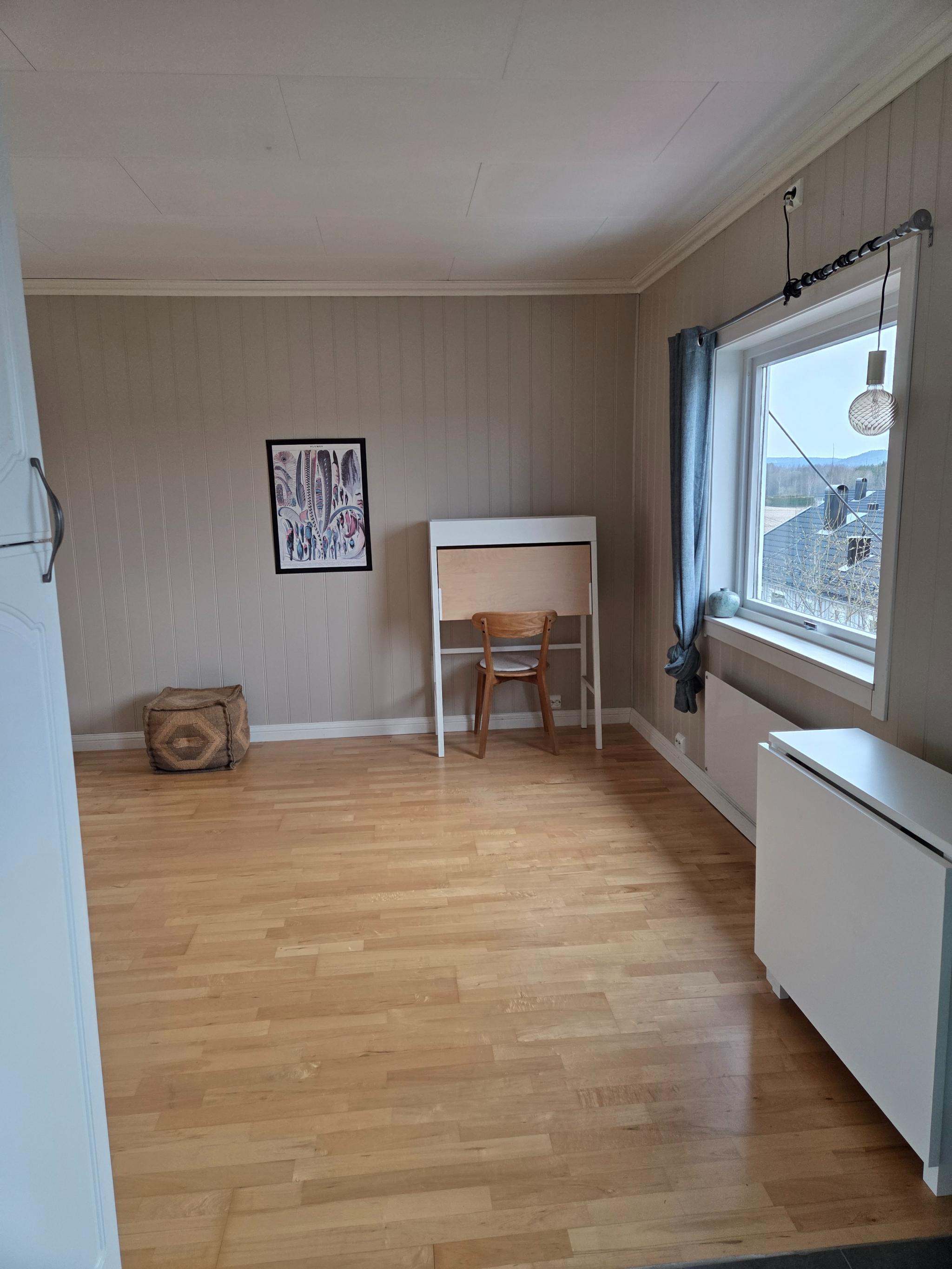 Stue/kjøkken