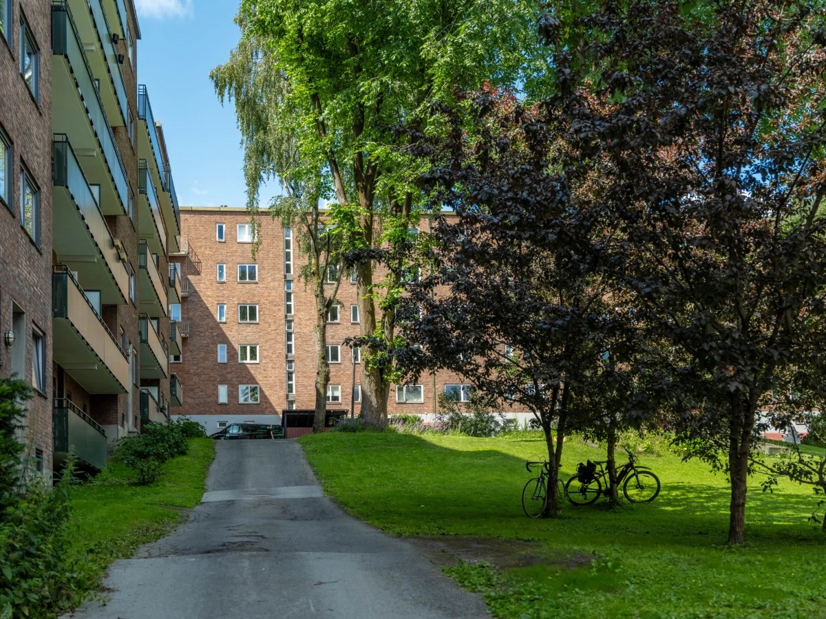 Frodig bakgård