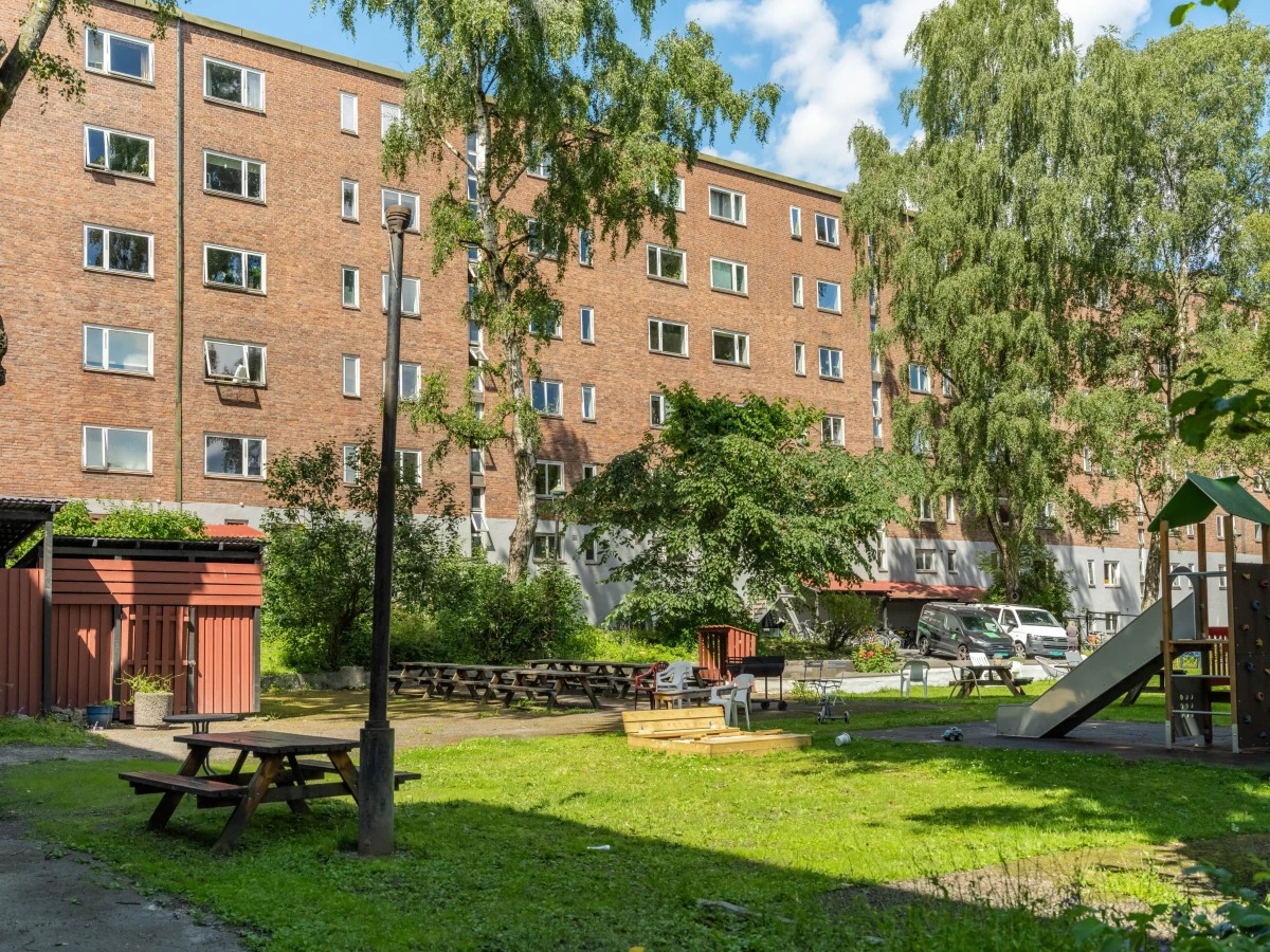 Frodig bakgård
