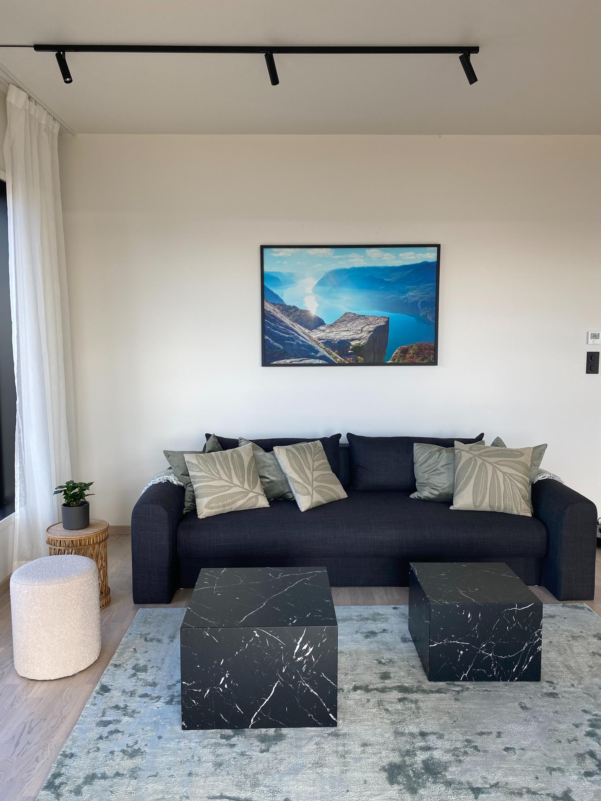 Stue med sovesofa
