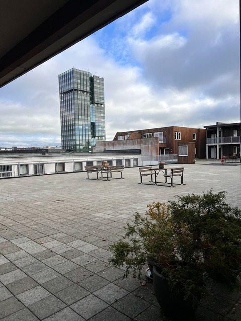 Stort uteareal ved inngang. leilighet 4 etg.