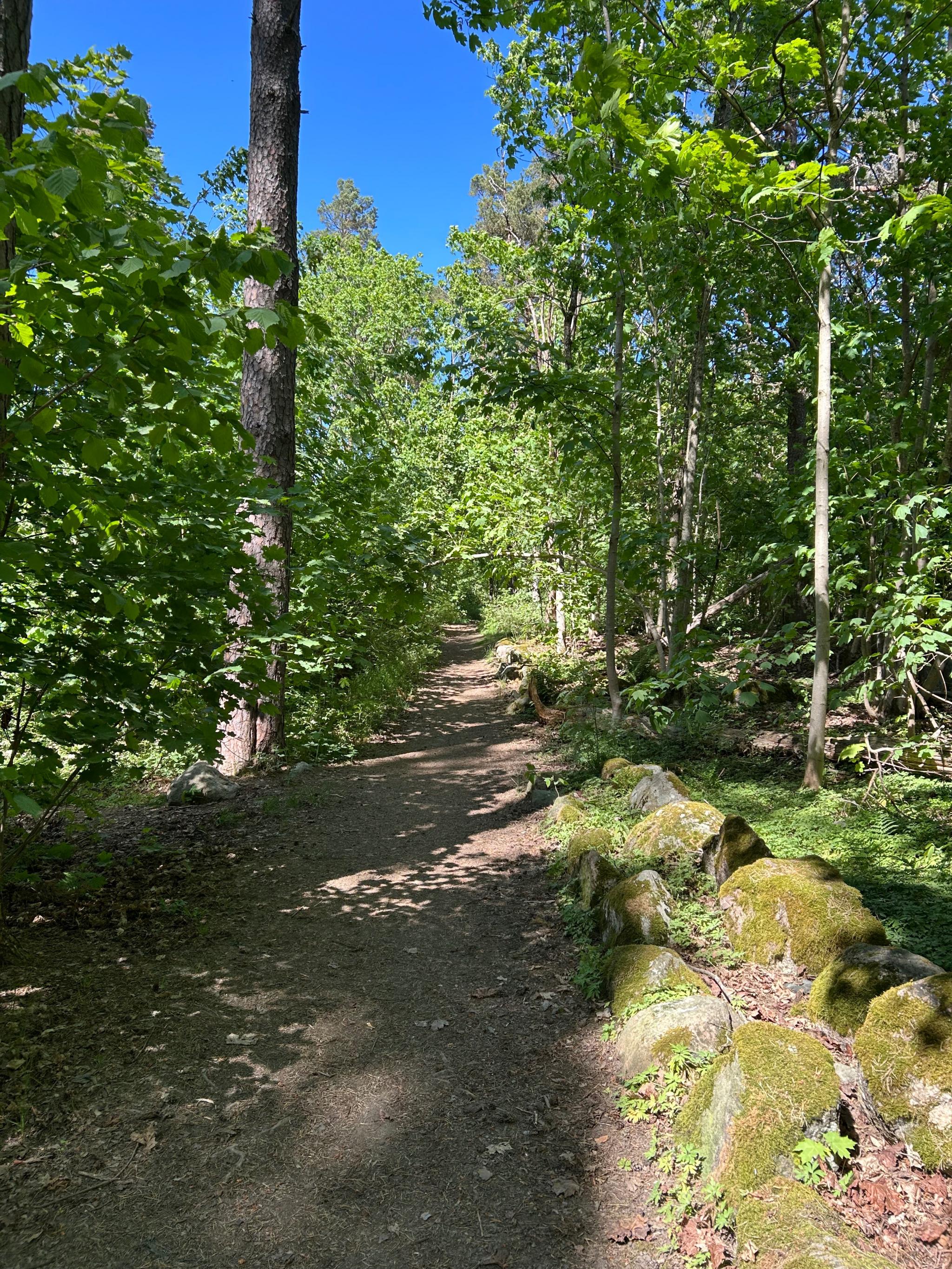 Turmuligheter rett i nærheten