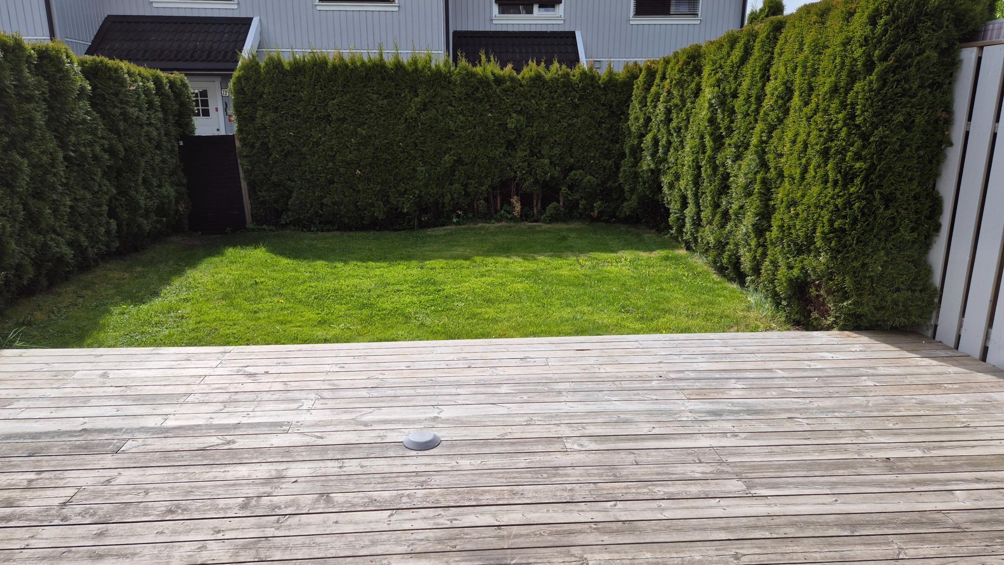 Hage med terrasse
