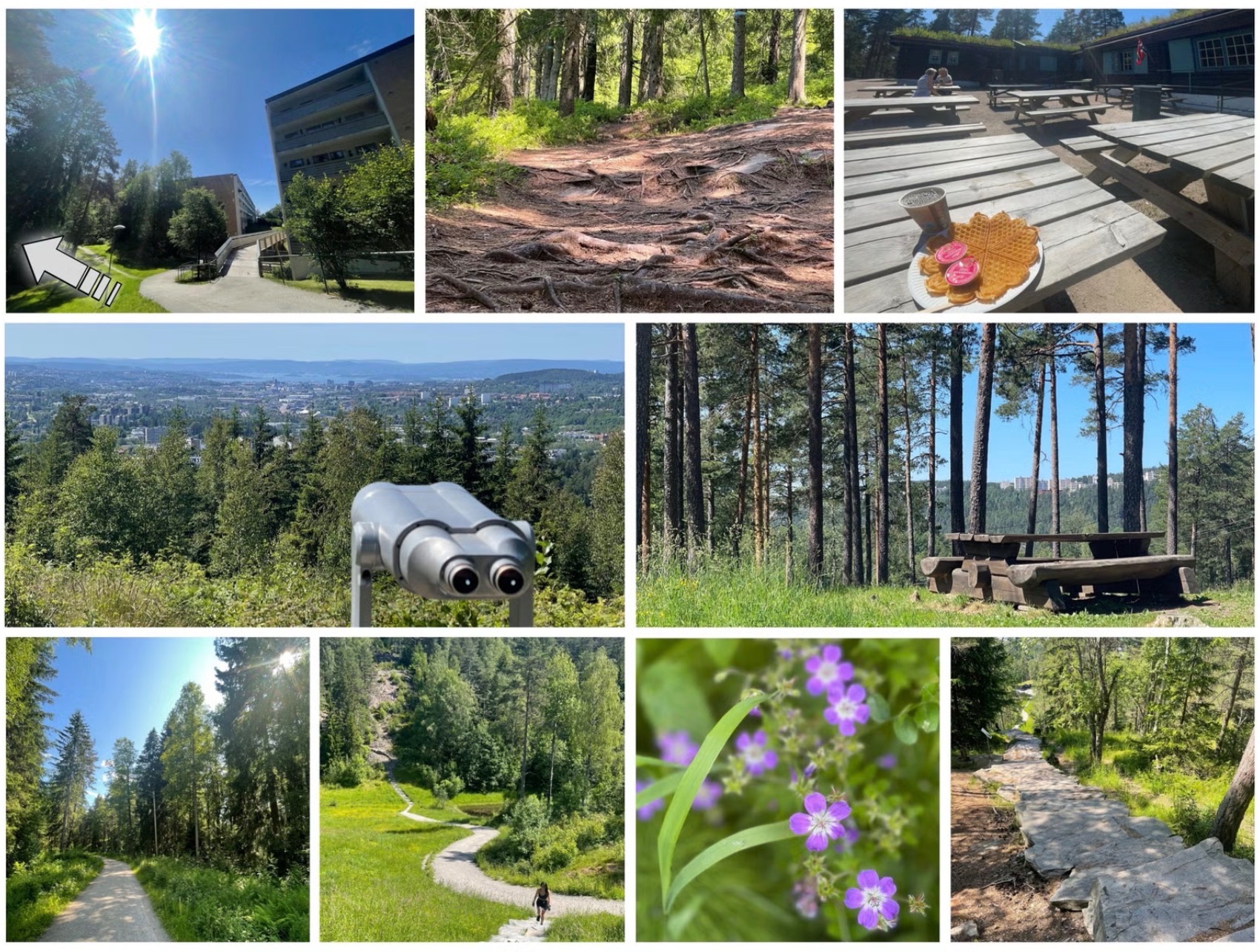 Mye flott natur like ved; inkatrapp, kafé i skogen, masse turstier i ulik stil, Stolpejakten ++