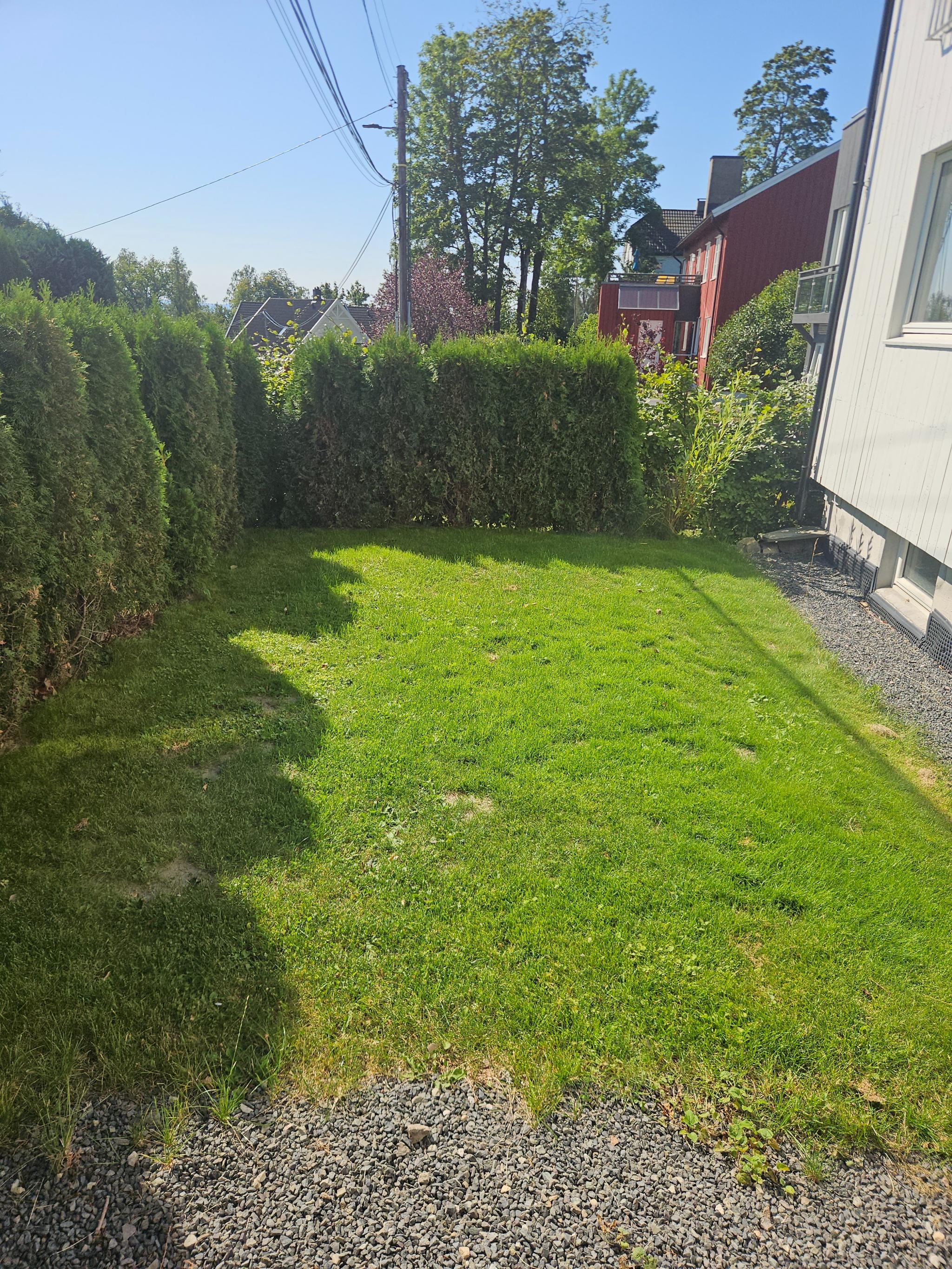 Plenområde utenfor som disponeres