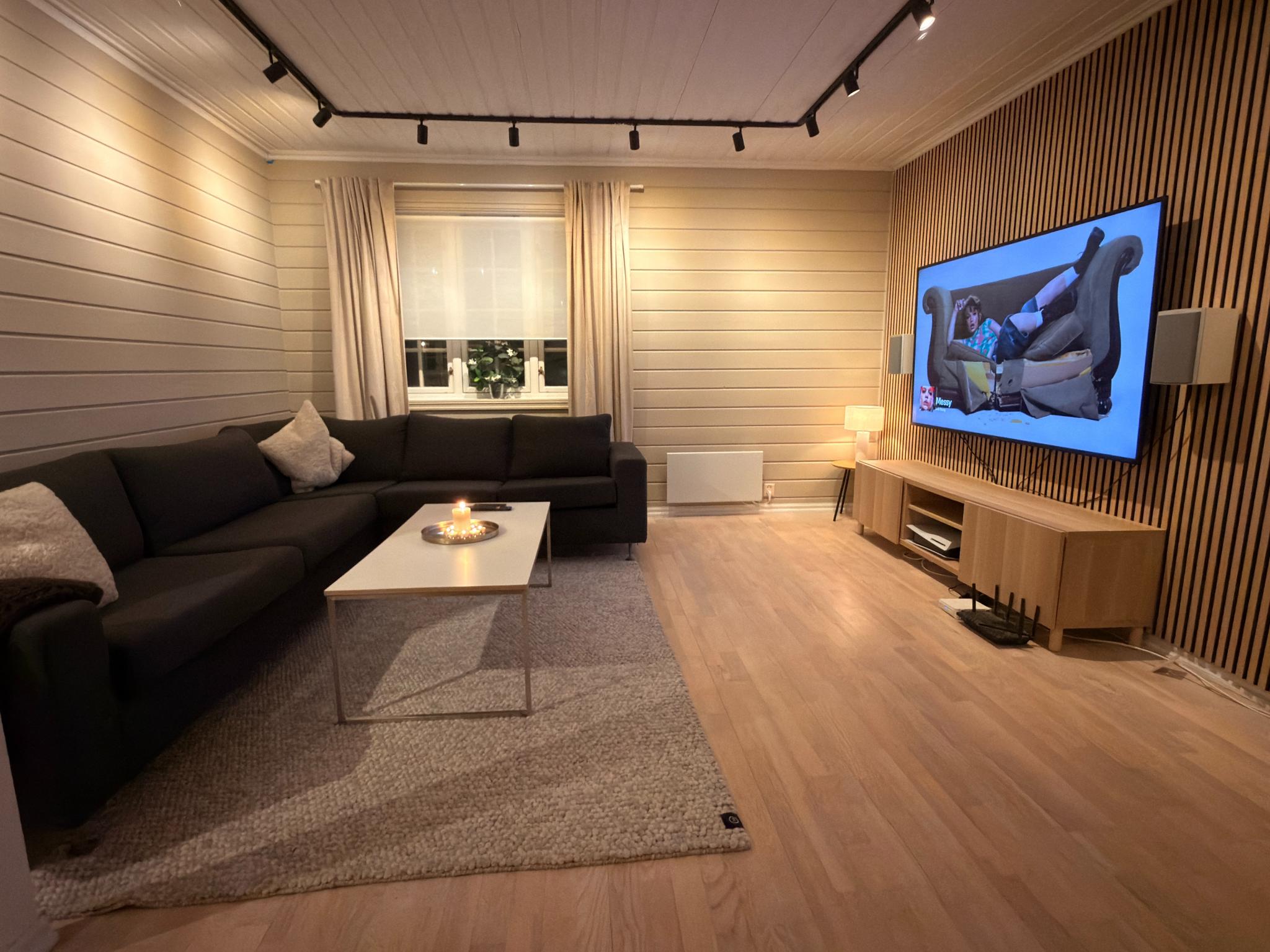 TV stue