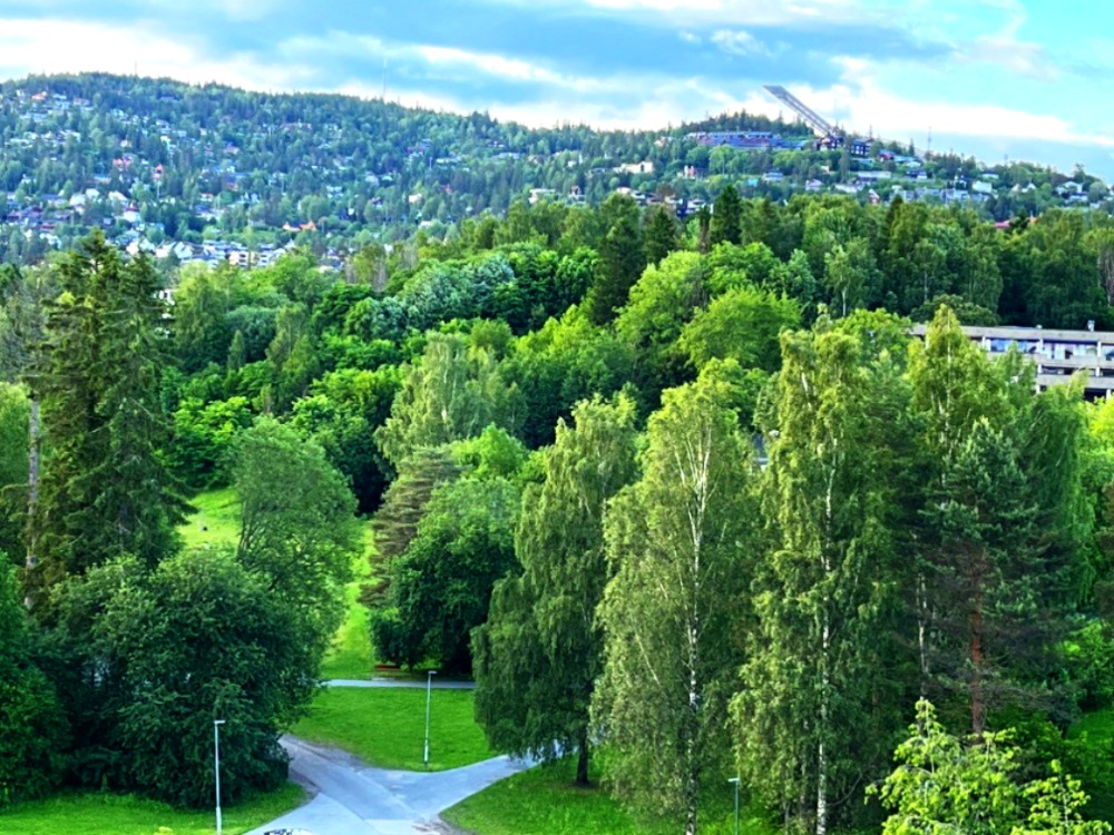 Utsikten fra balkongen mot Holmenkollen