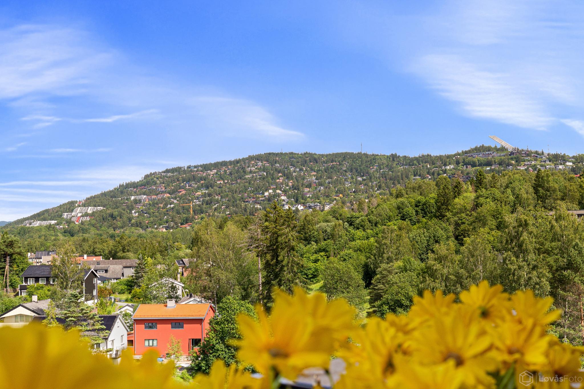 Utsikten