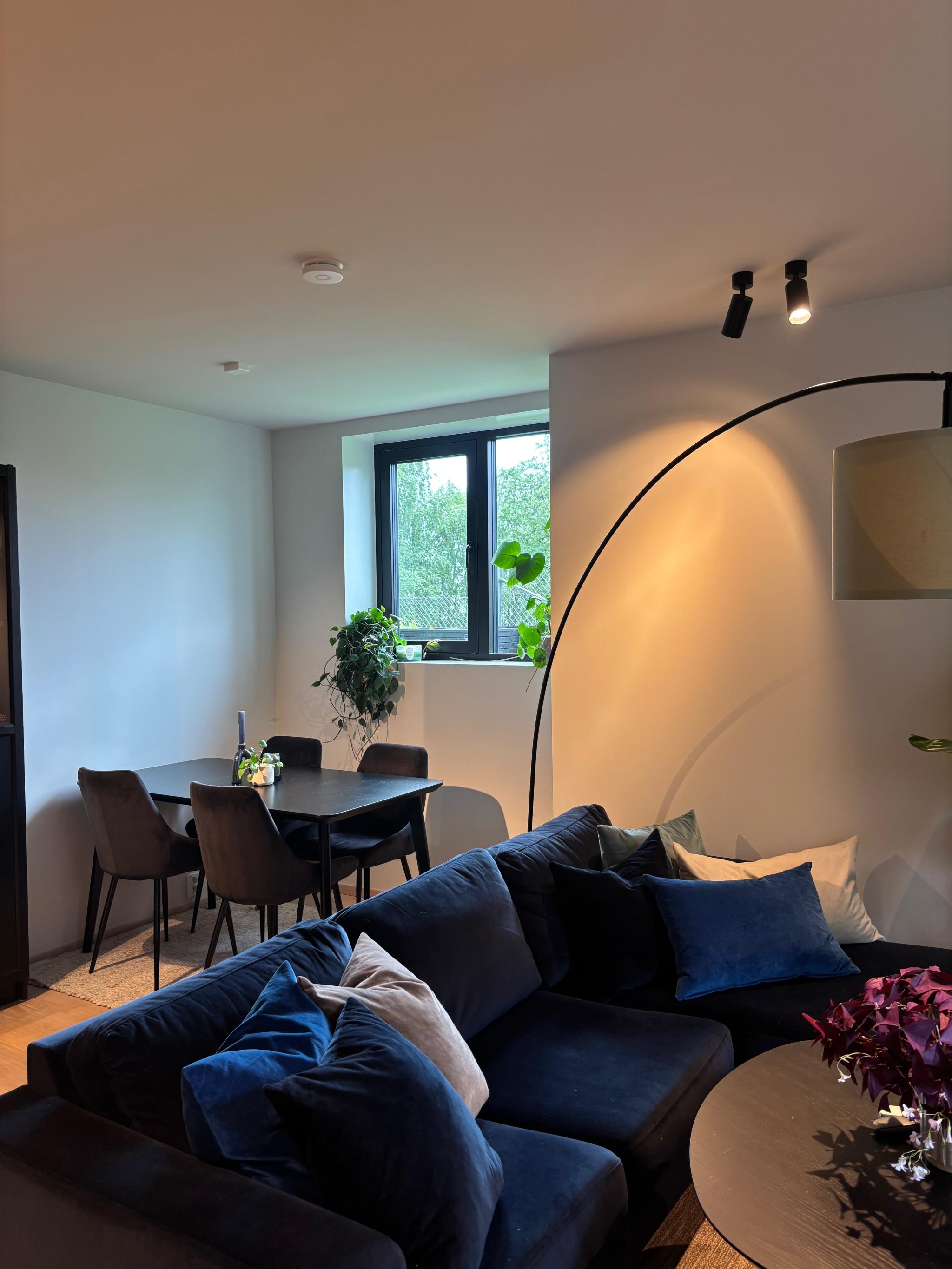 Stue/spisebord