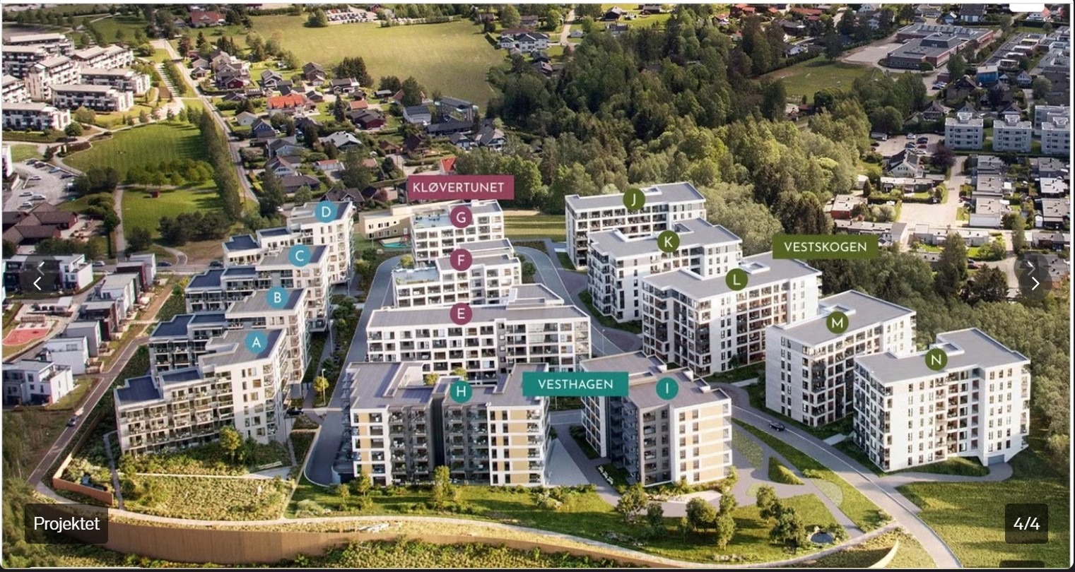 Projektet