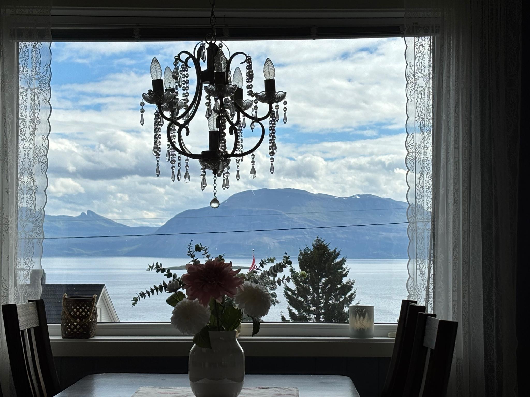 Utsikt fra stuen.