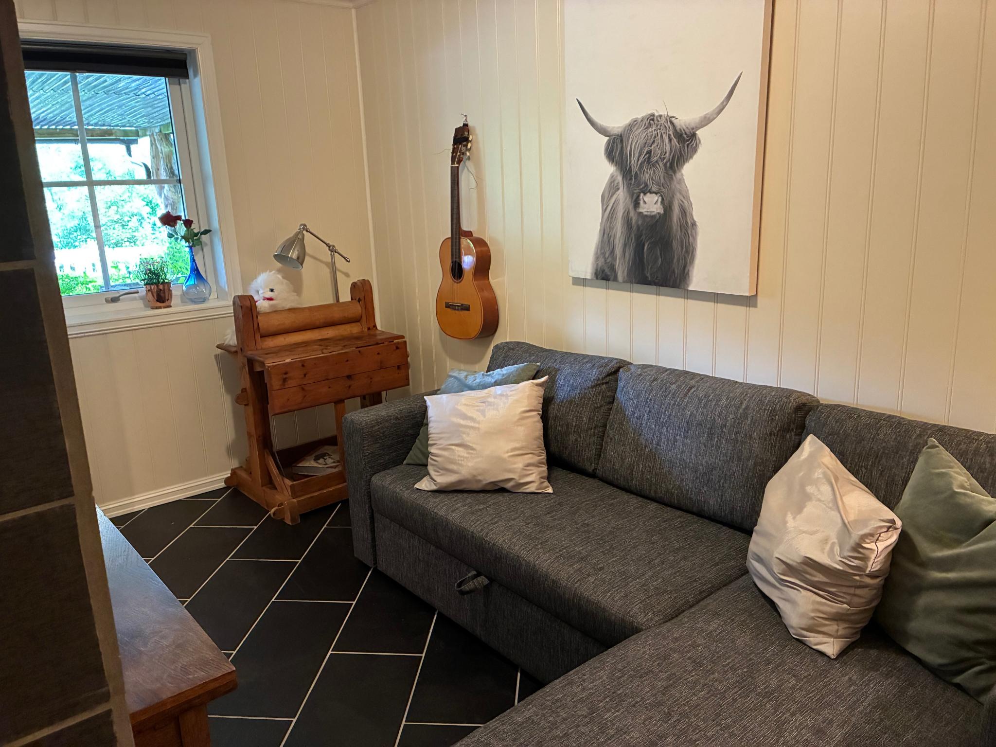 Stue med sovesofa 