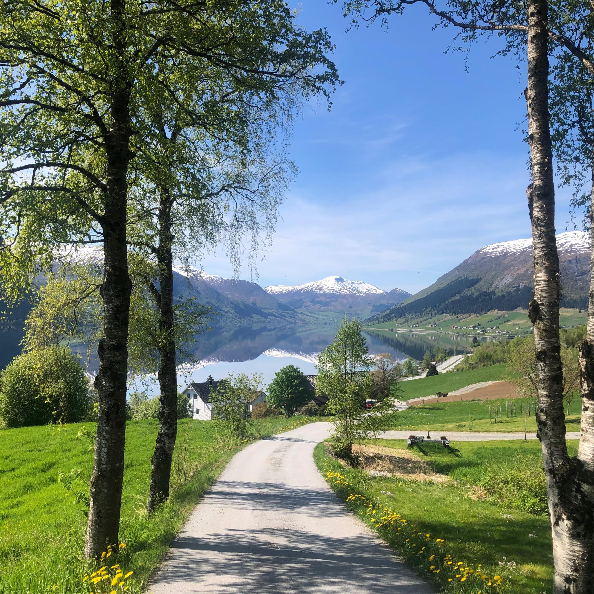 Tilkomstvegen