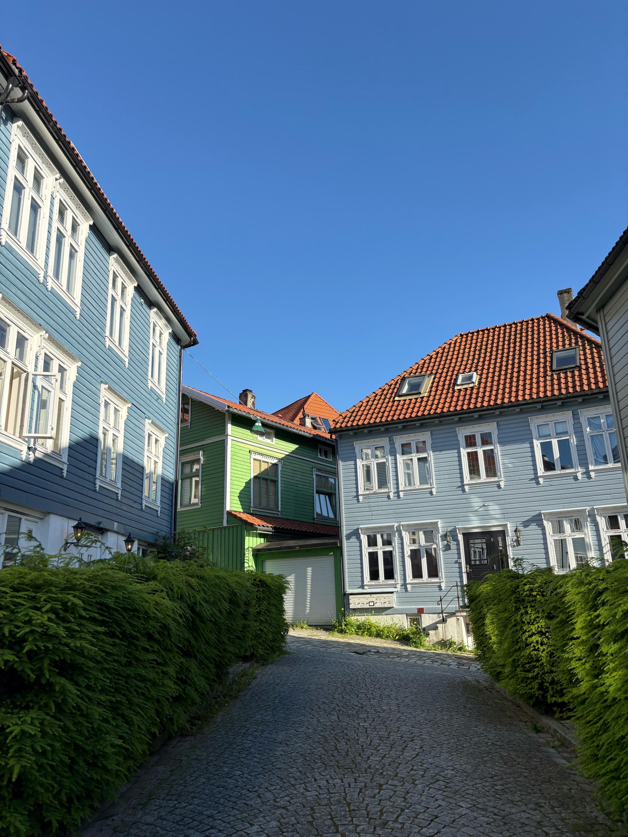 leiligheten befinner seg i et veldig koselig nabolag