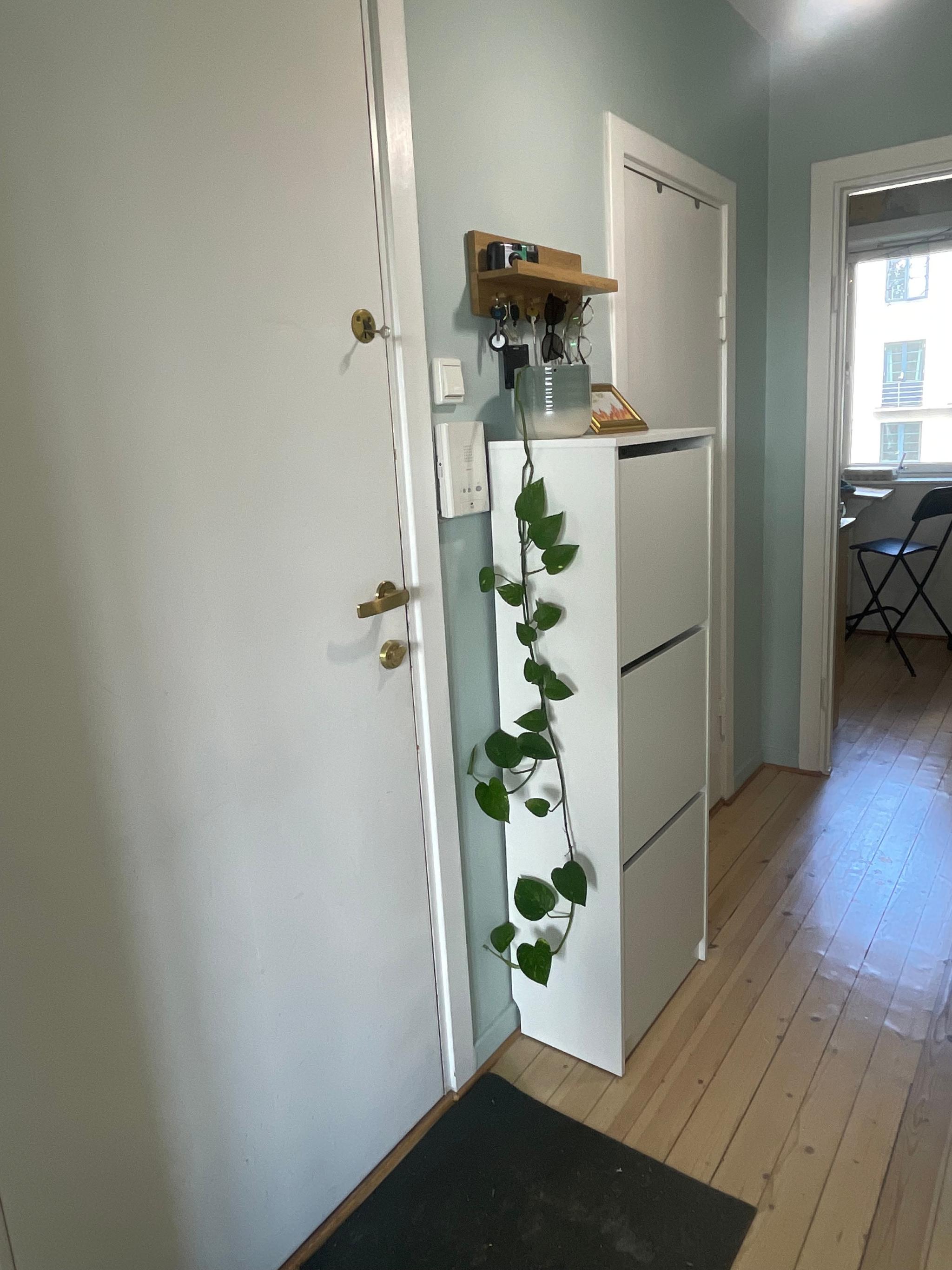 I gangen er det callinganlegg, nøkkelkroker og godt med lagringsplass.
