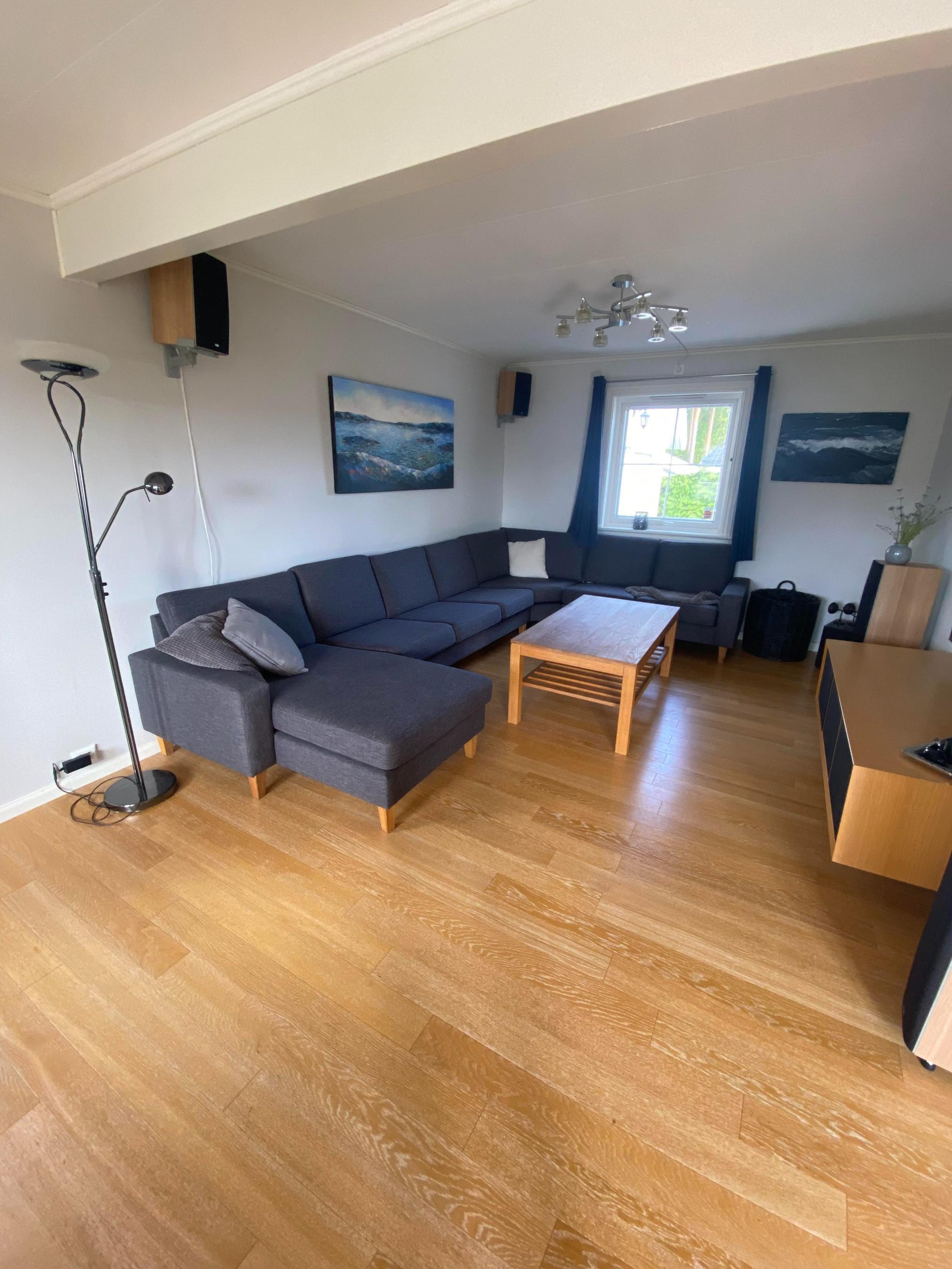 Sofagruppe med tv