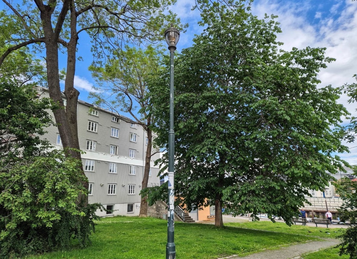 Uteomårdet. Rolig og grønt.