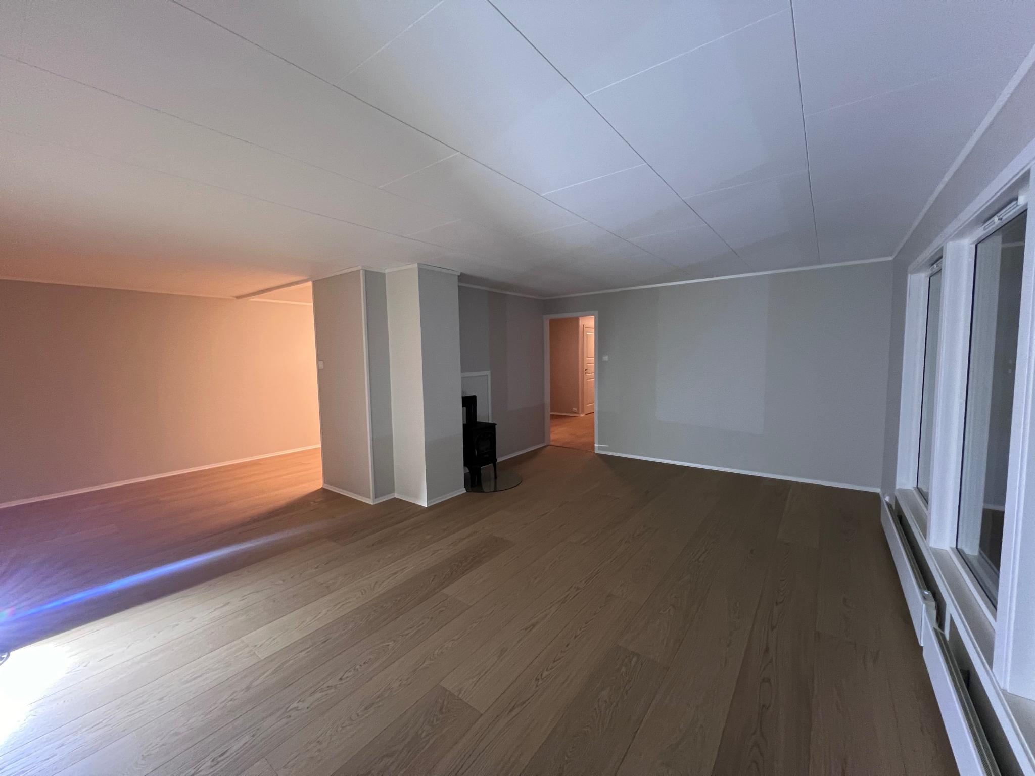 Stor og lys stue med peis og hardwood gulv.