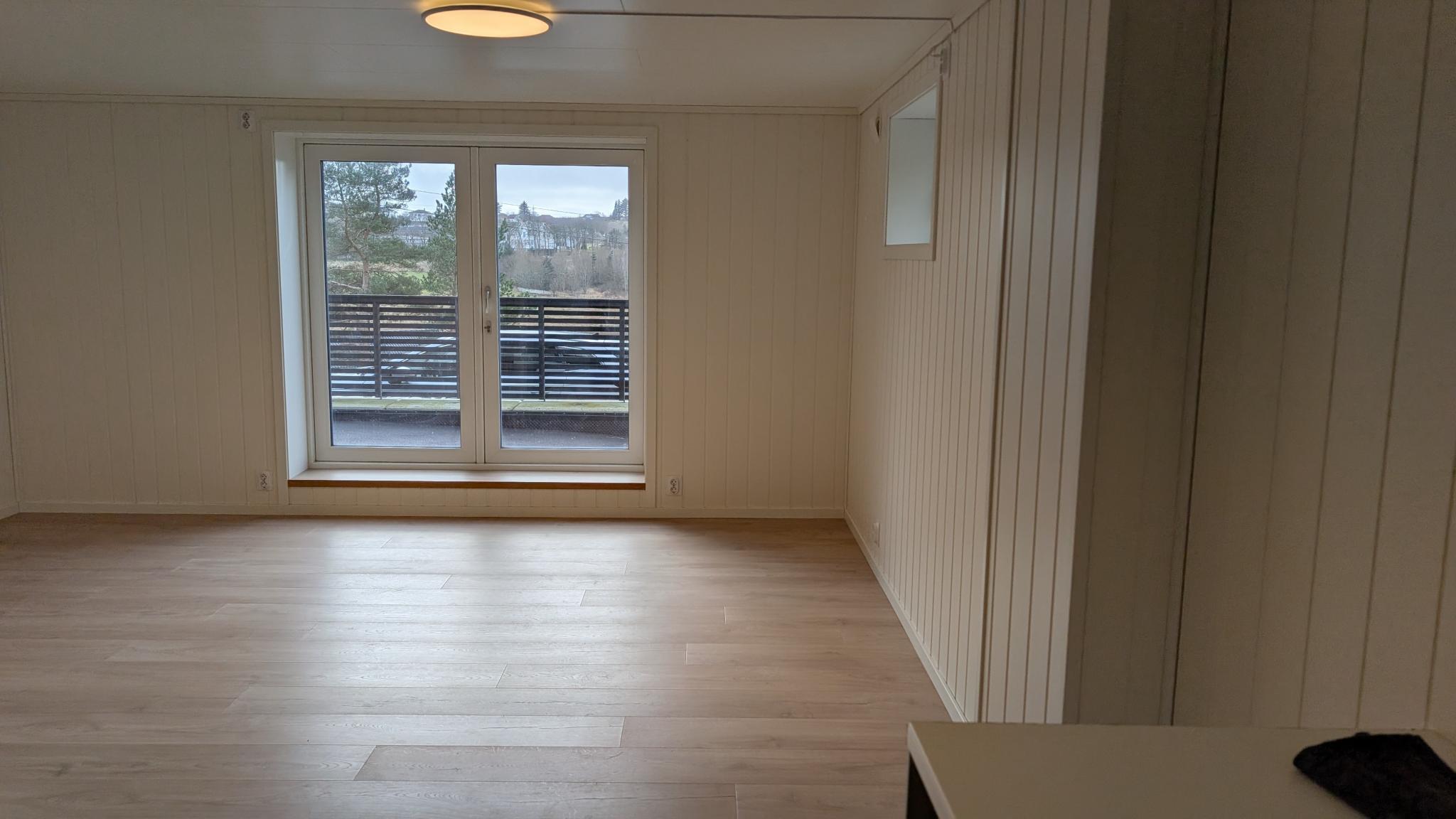 Stue/Kjøkken