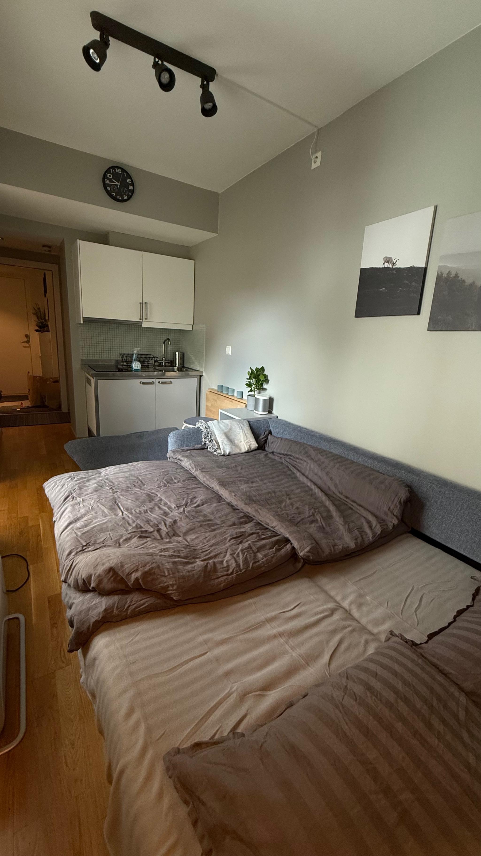 Sovesofa kan lett omgjøres til behagelig dobbeltseng 