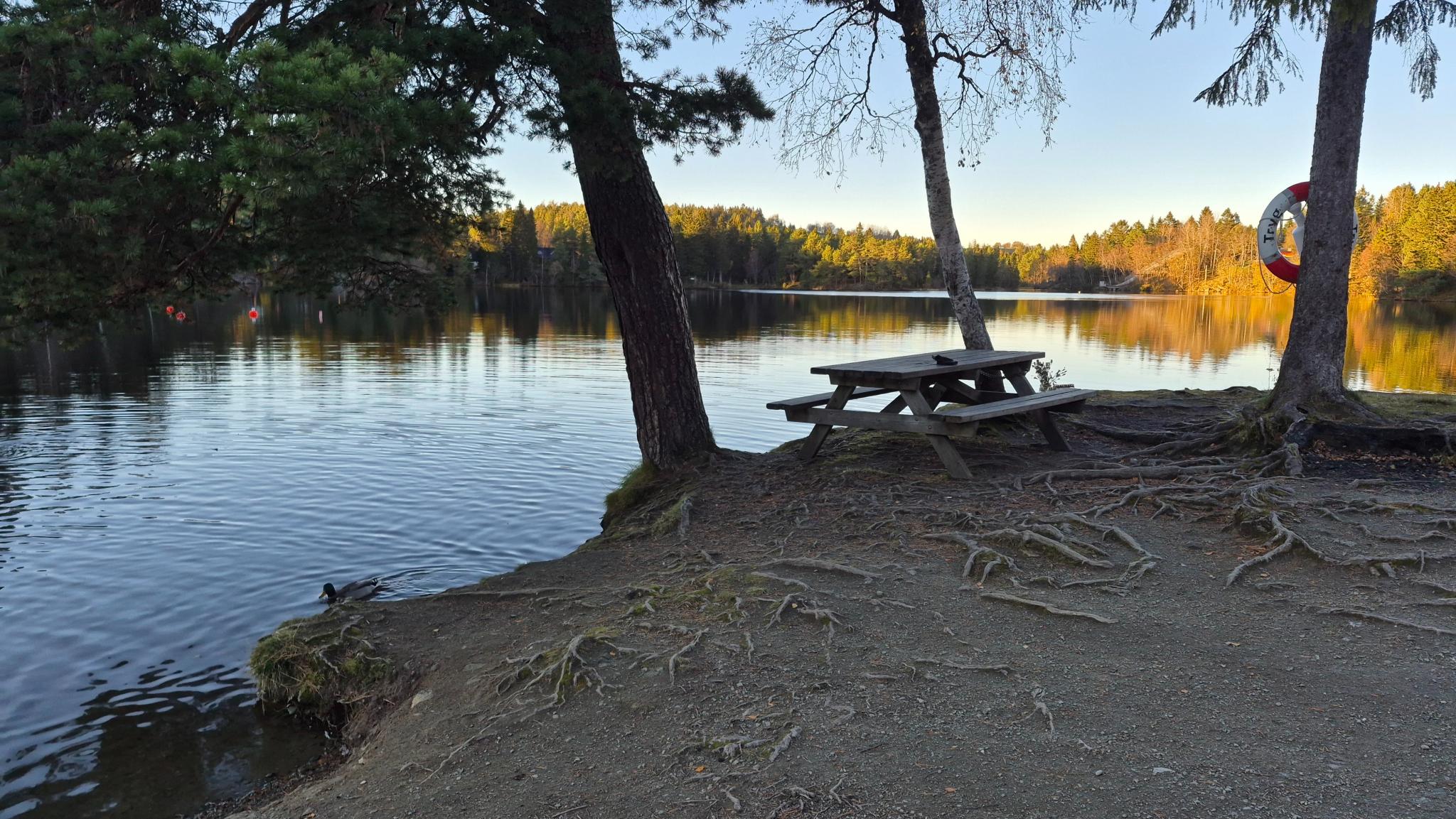 Gode bade og utemuligheter ved Kyvannet
