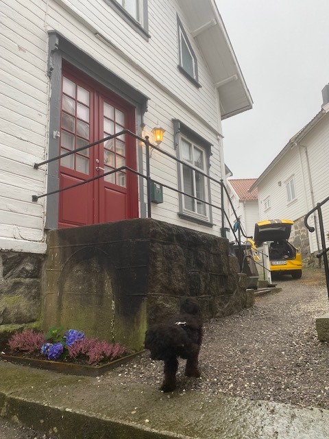 Inngang hoved