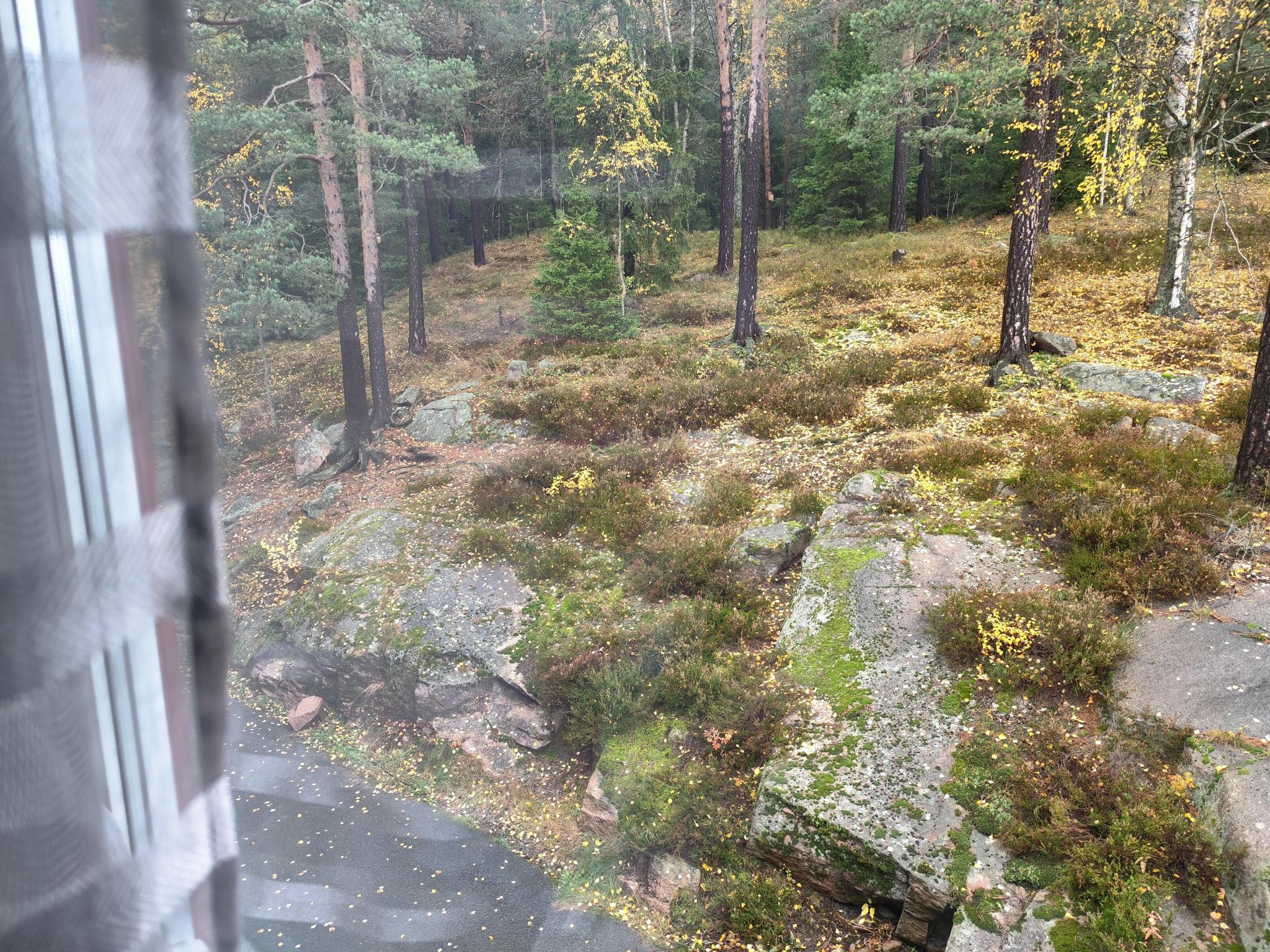 Utsikt fra vinduet 