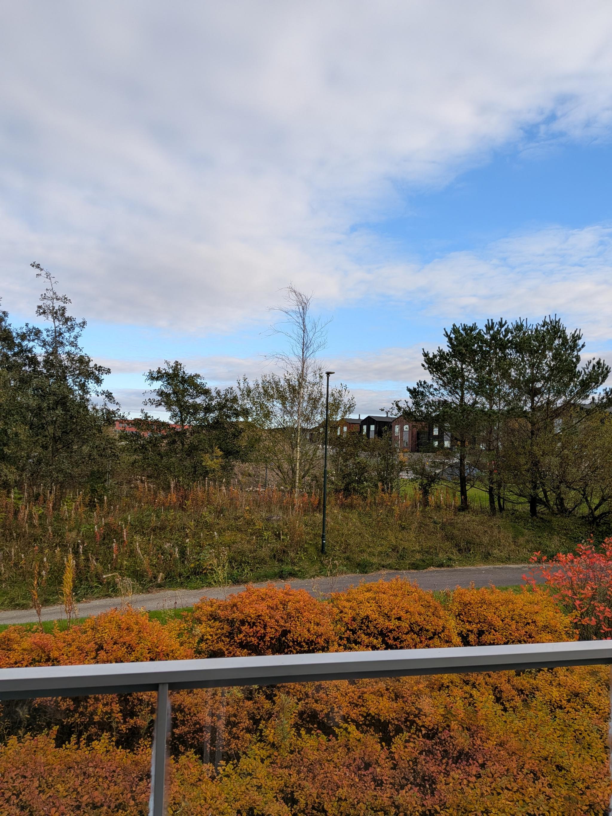 Utsikt fra balkong/stuen