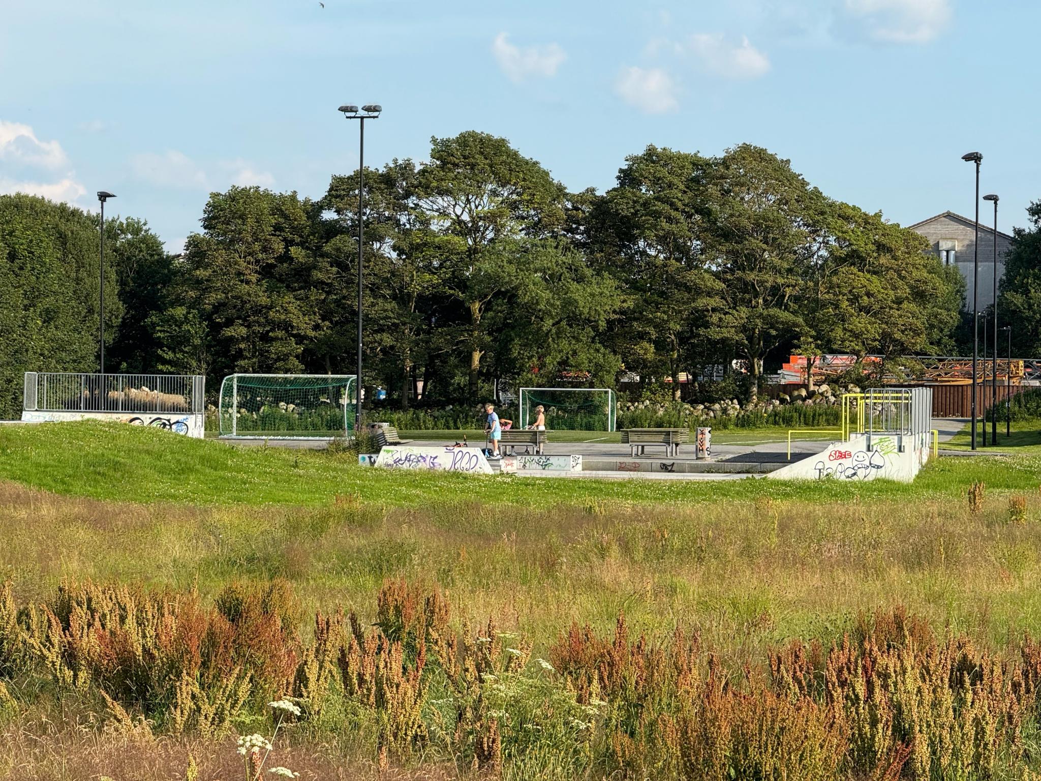 Fotballbane sketepark