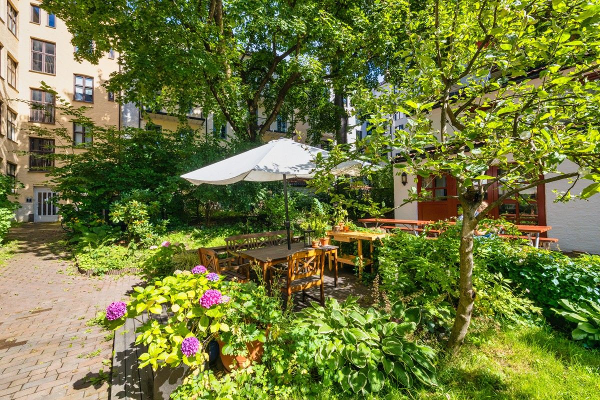 Bakgård på sommertid
