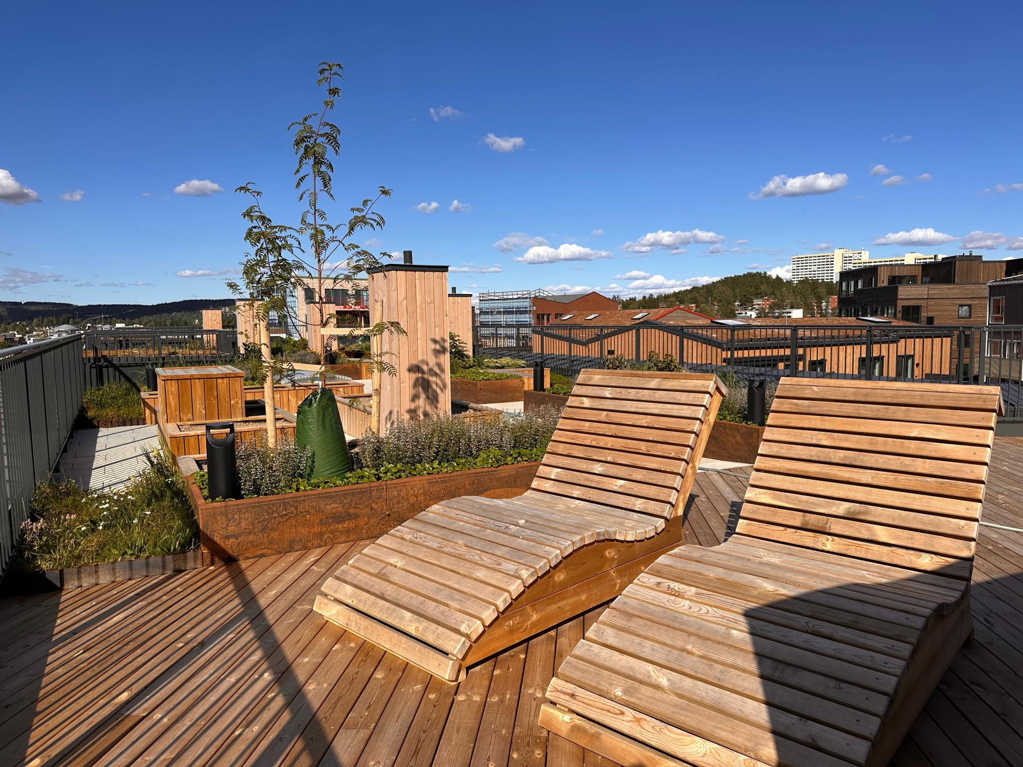 Her kan du slappe godt av på en solfylt dag