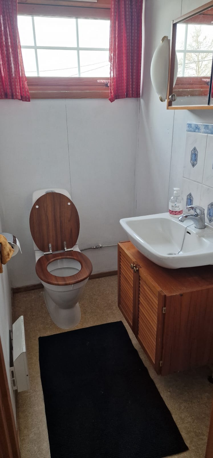 separat toalett med speil og vask