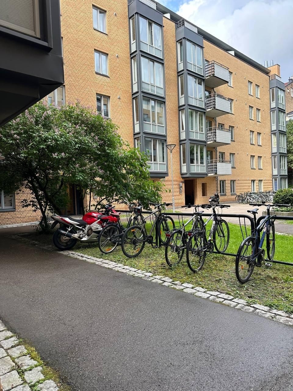 Trivelig bakgår