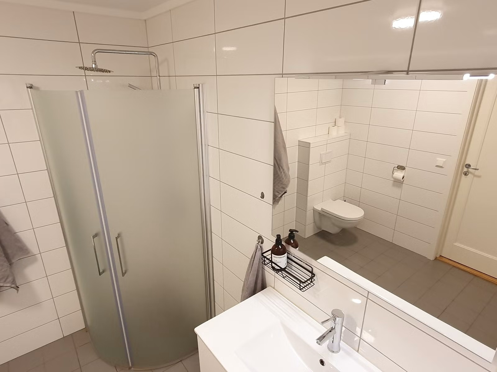 Dusjnisje og vegghengt toalett