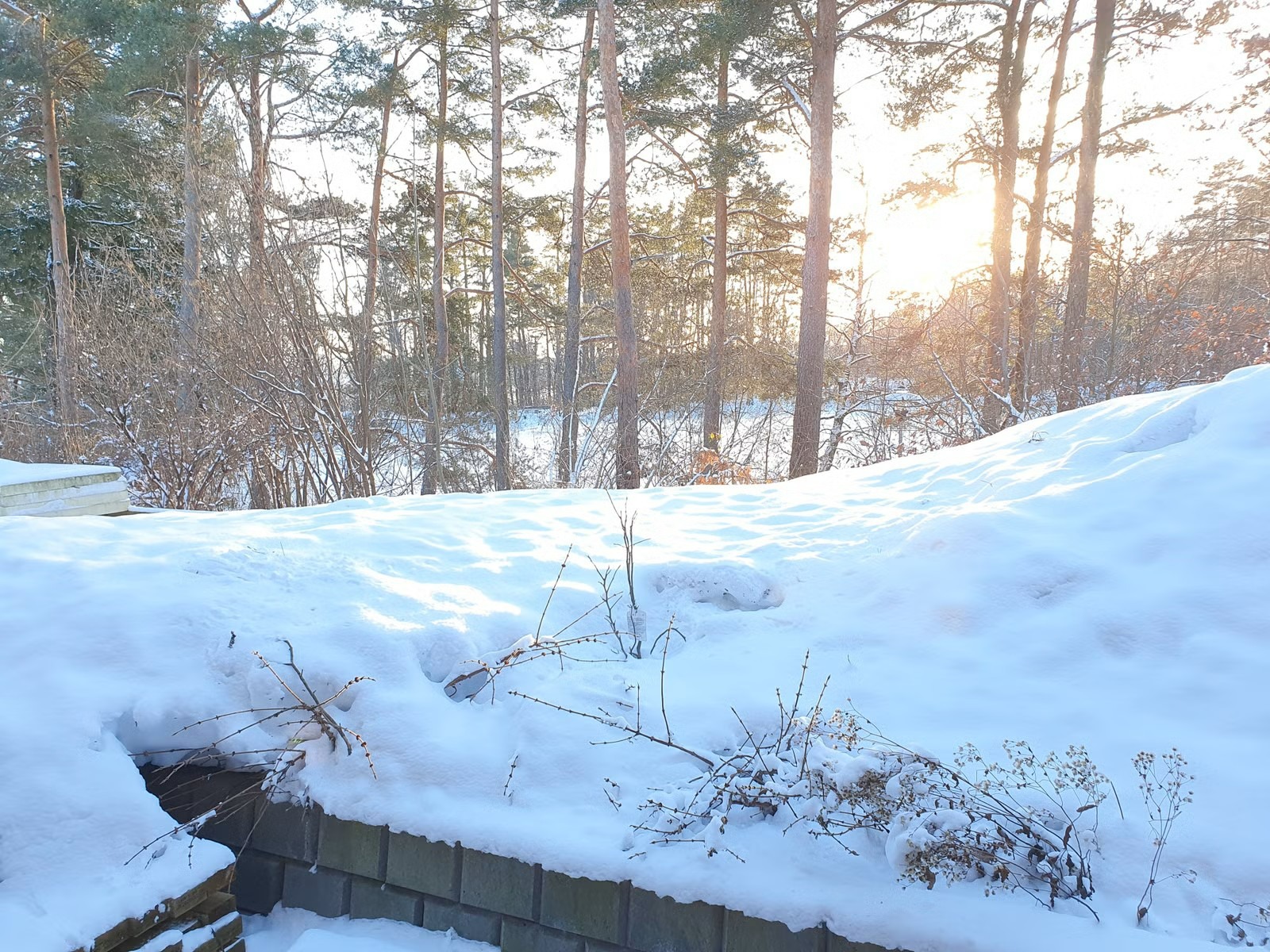 Flott utsikt ned til Brydedammen